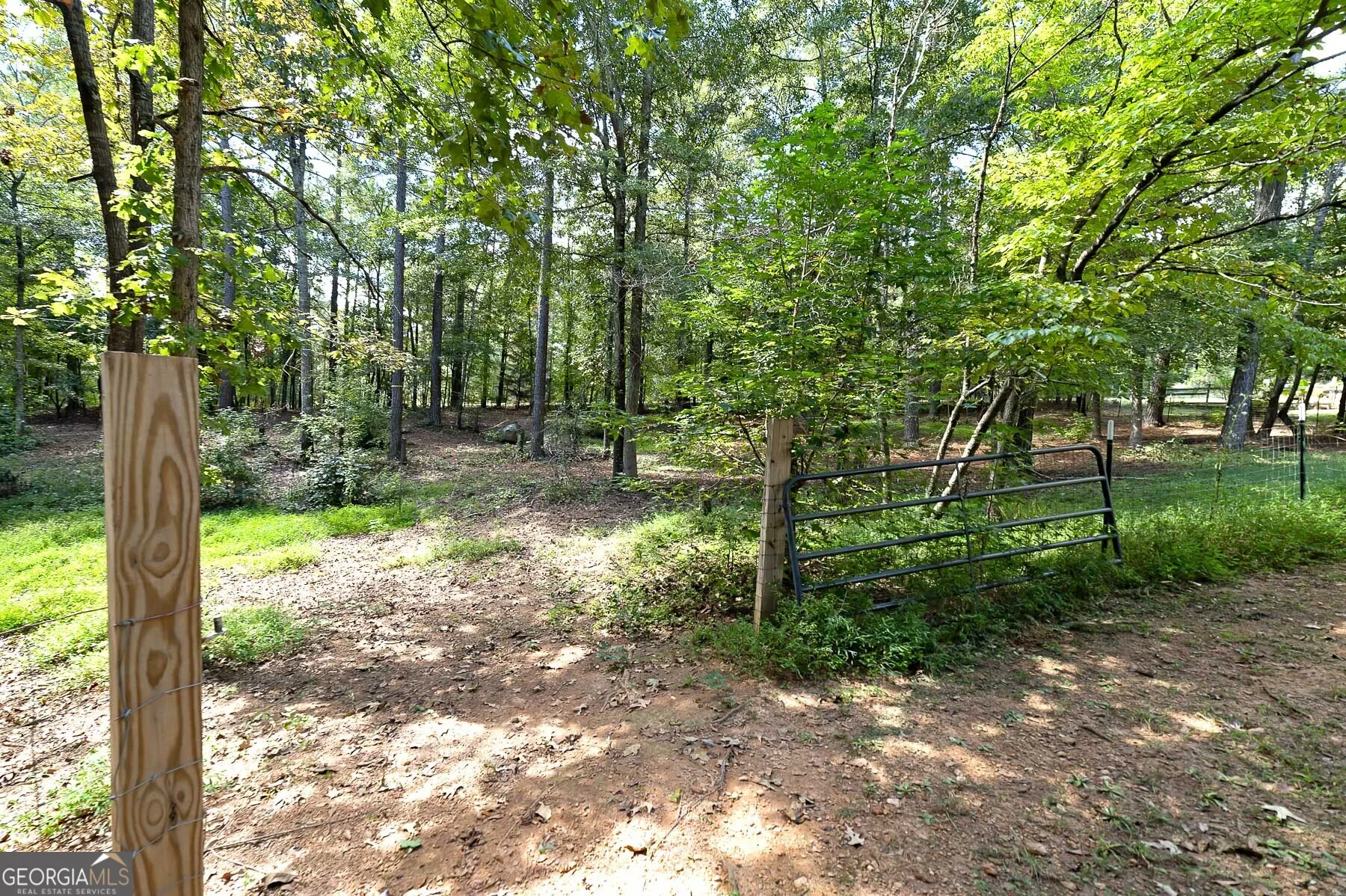 447 Grandview Road