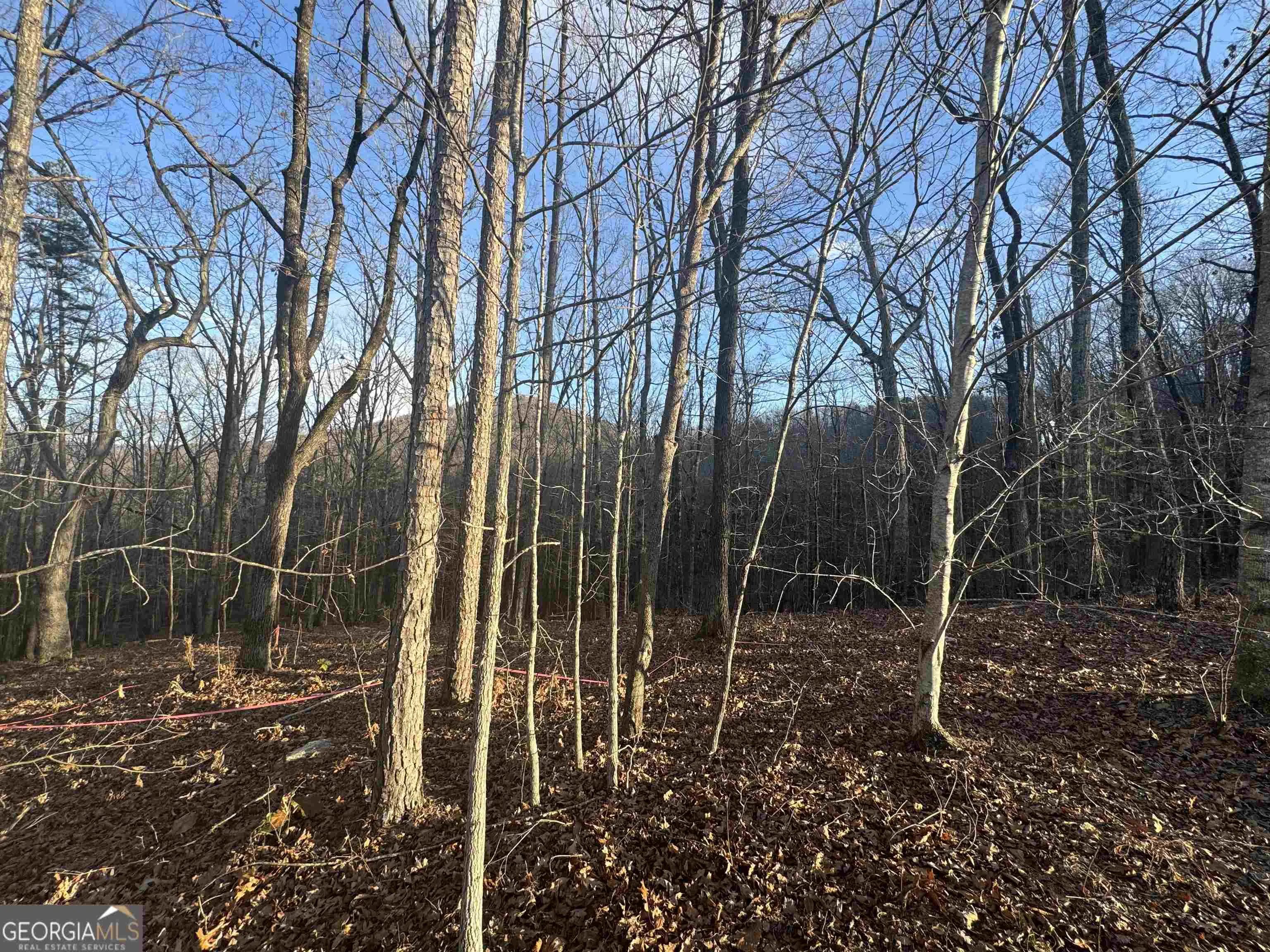 LOT 55 Teel Mtn Drive