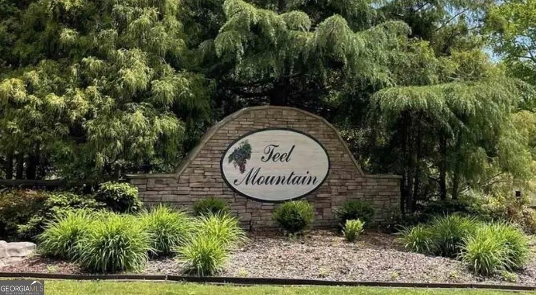 LOT 55 Teel Mtn Drive