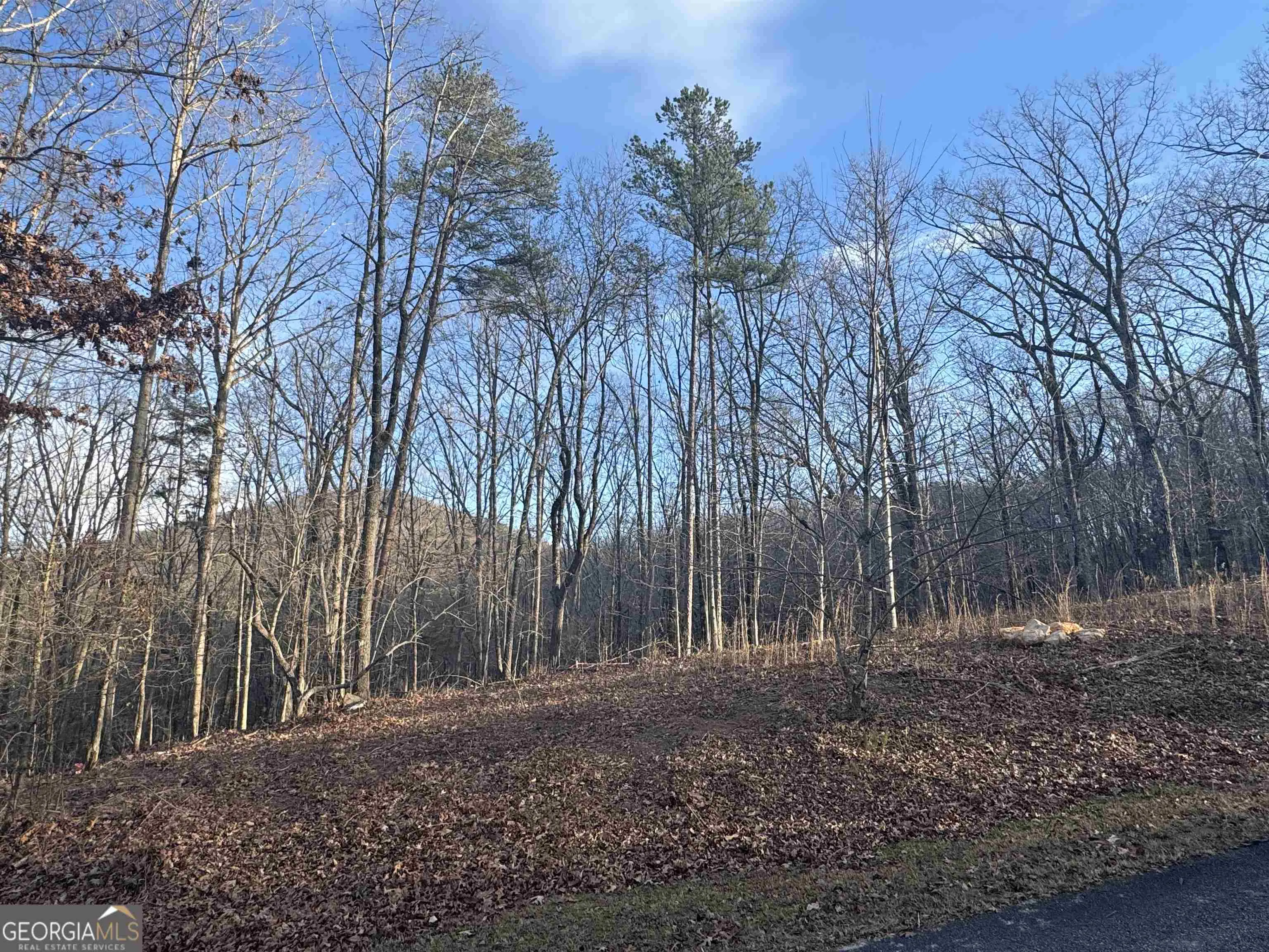 LOT 55 Teel Mtn Drive