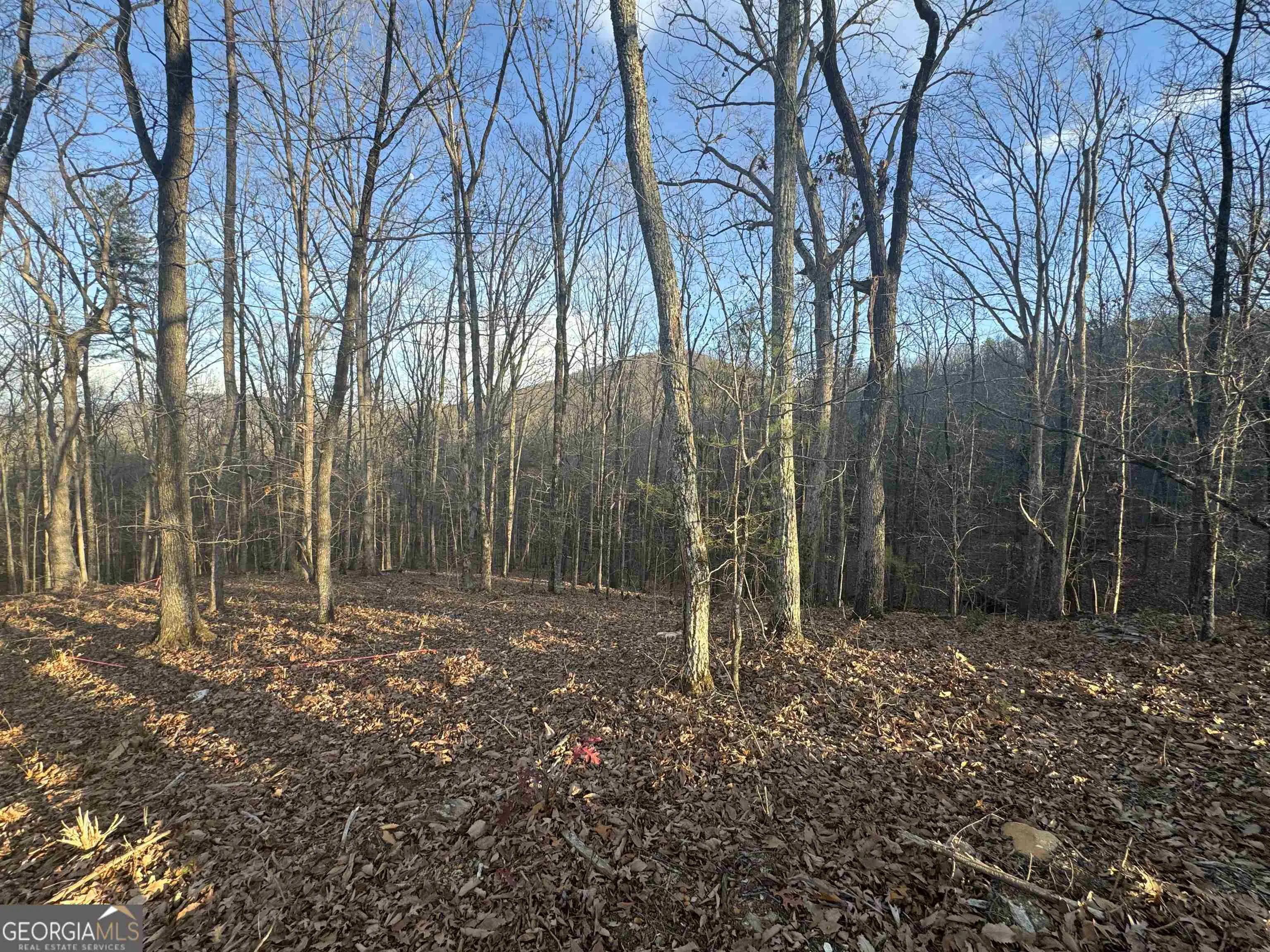 LOT 55 Teel Mtn Drive