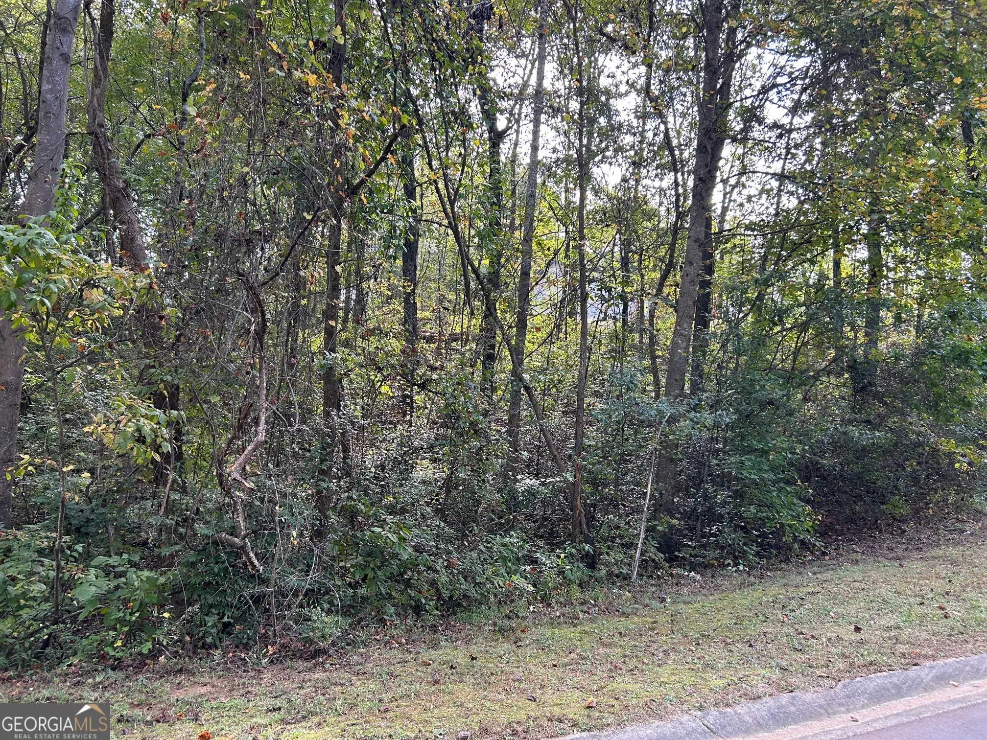 39 Huckleberry Lane