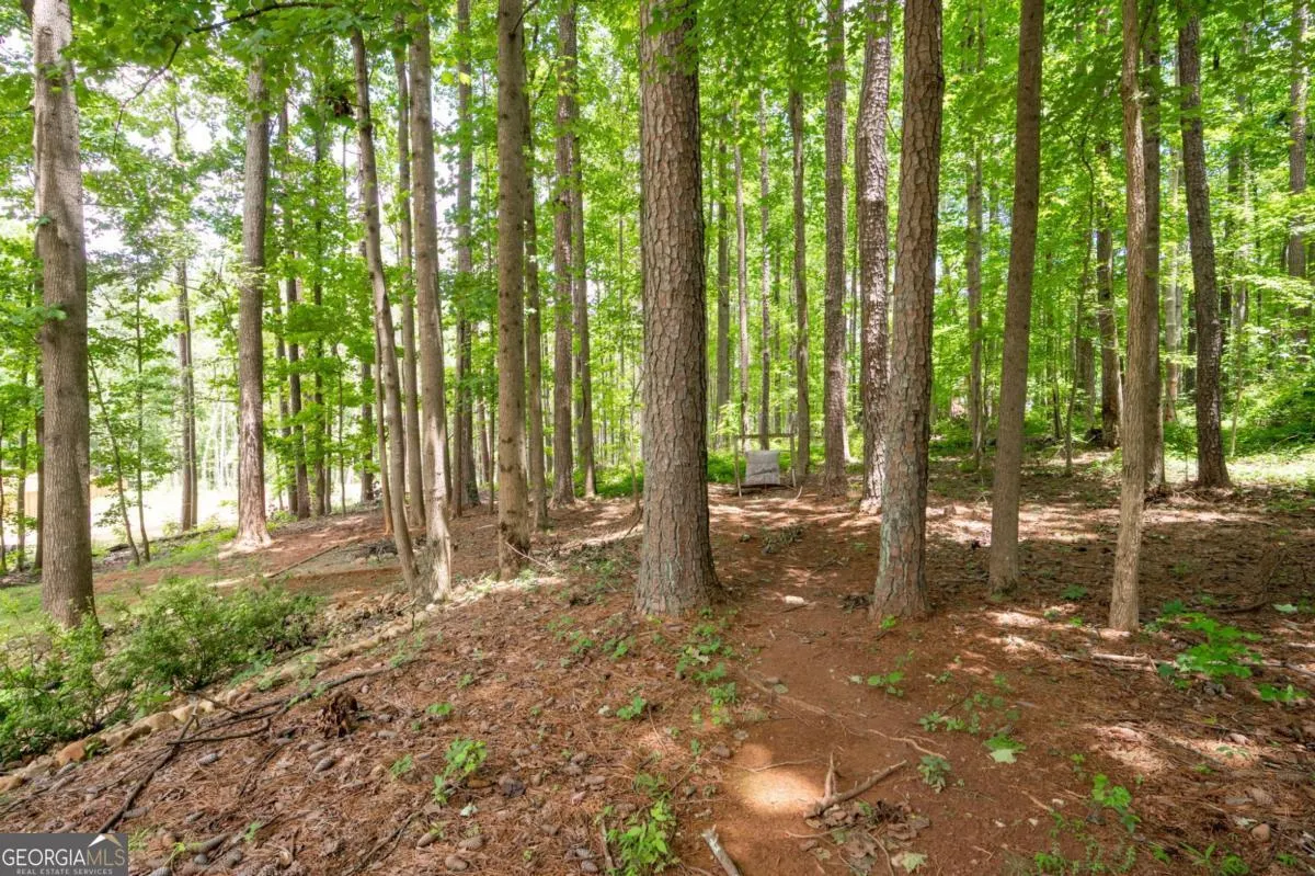 325 Harris Loop