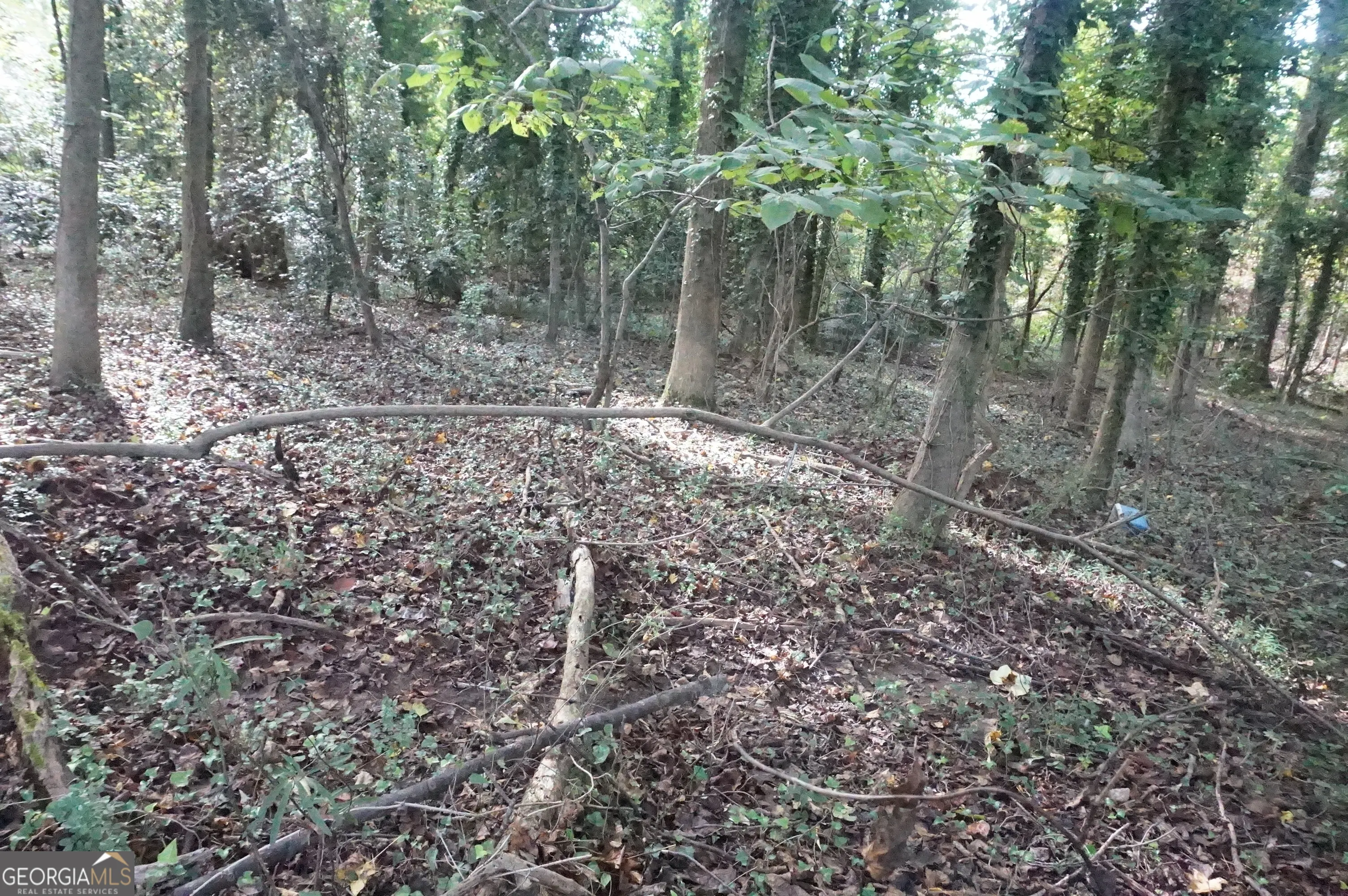 LOT 6 Pine Valley Circle