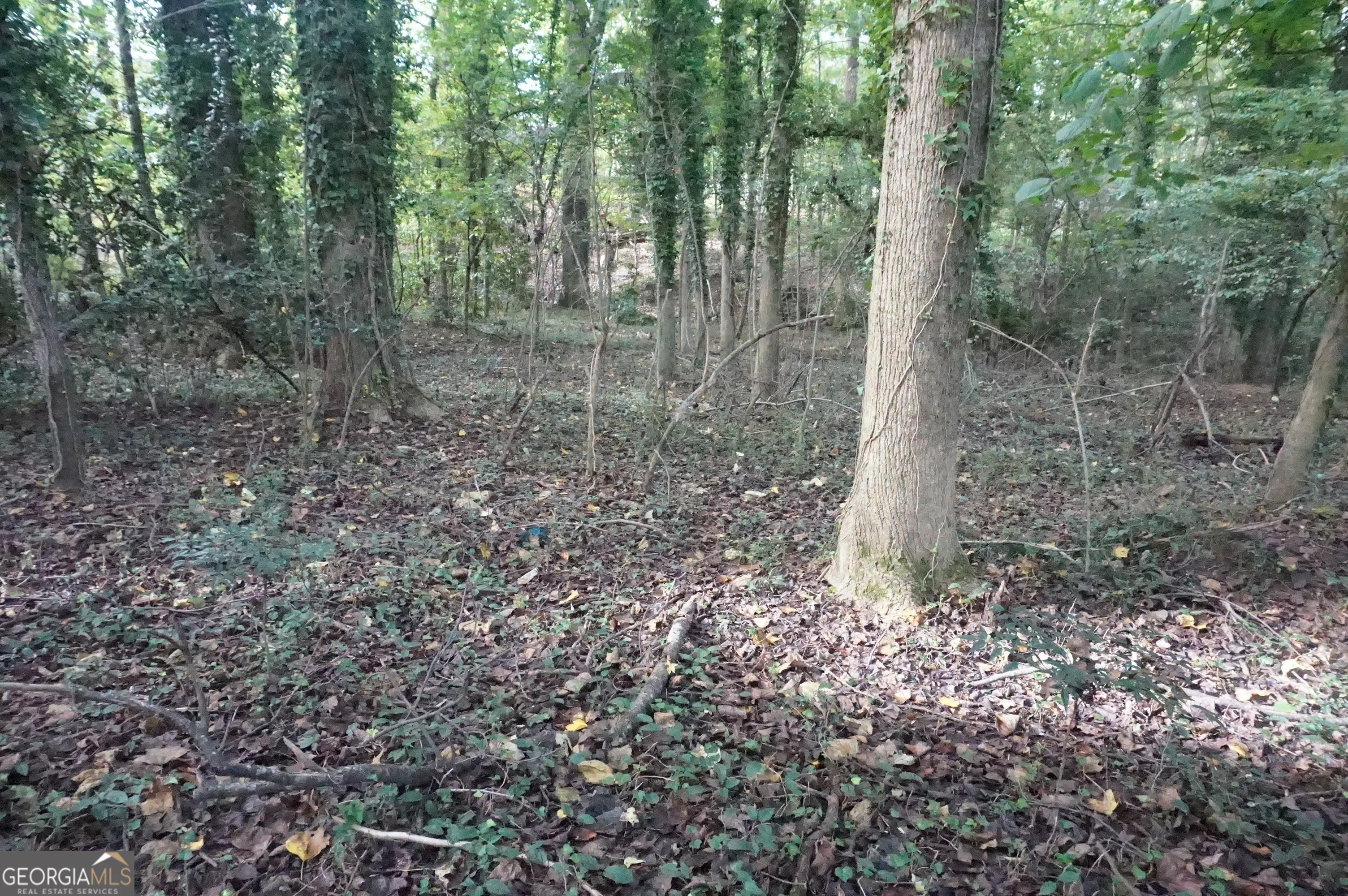 LOT 6 Pine Valley Circle