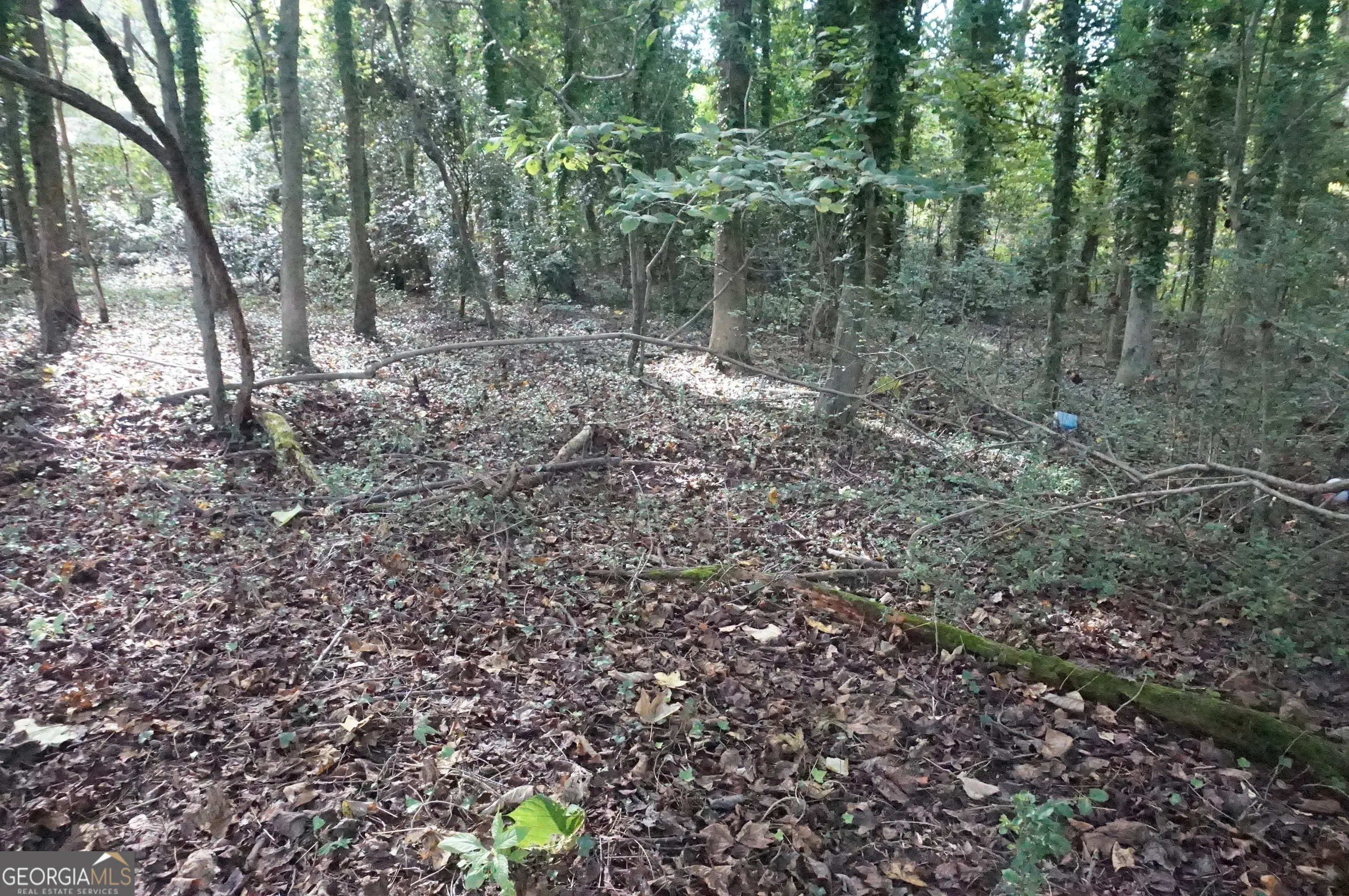 LOT 6 Pine Valley Circle