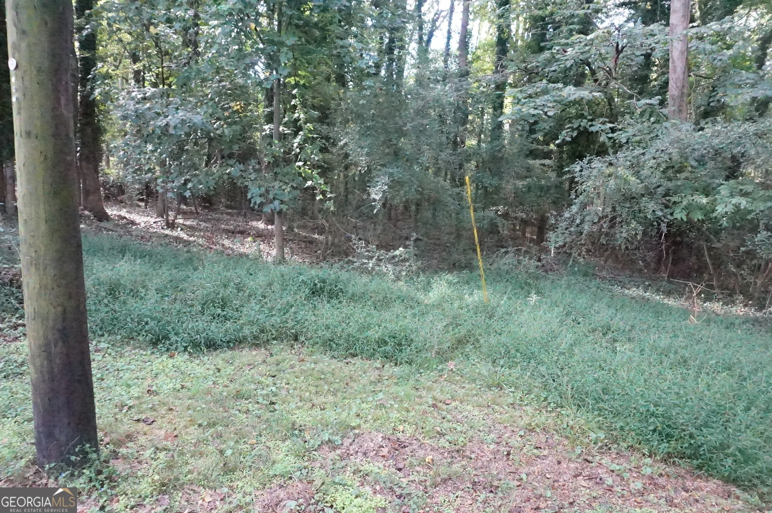 LOT 6 Pine Valley Circle