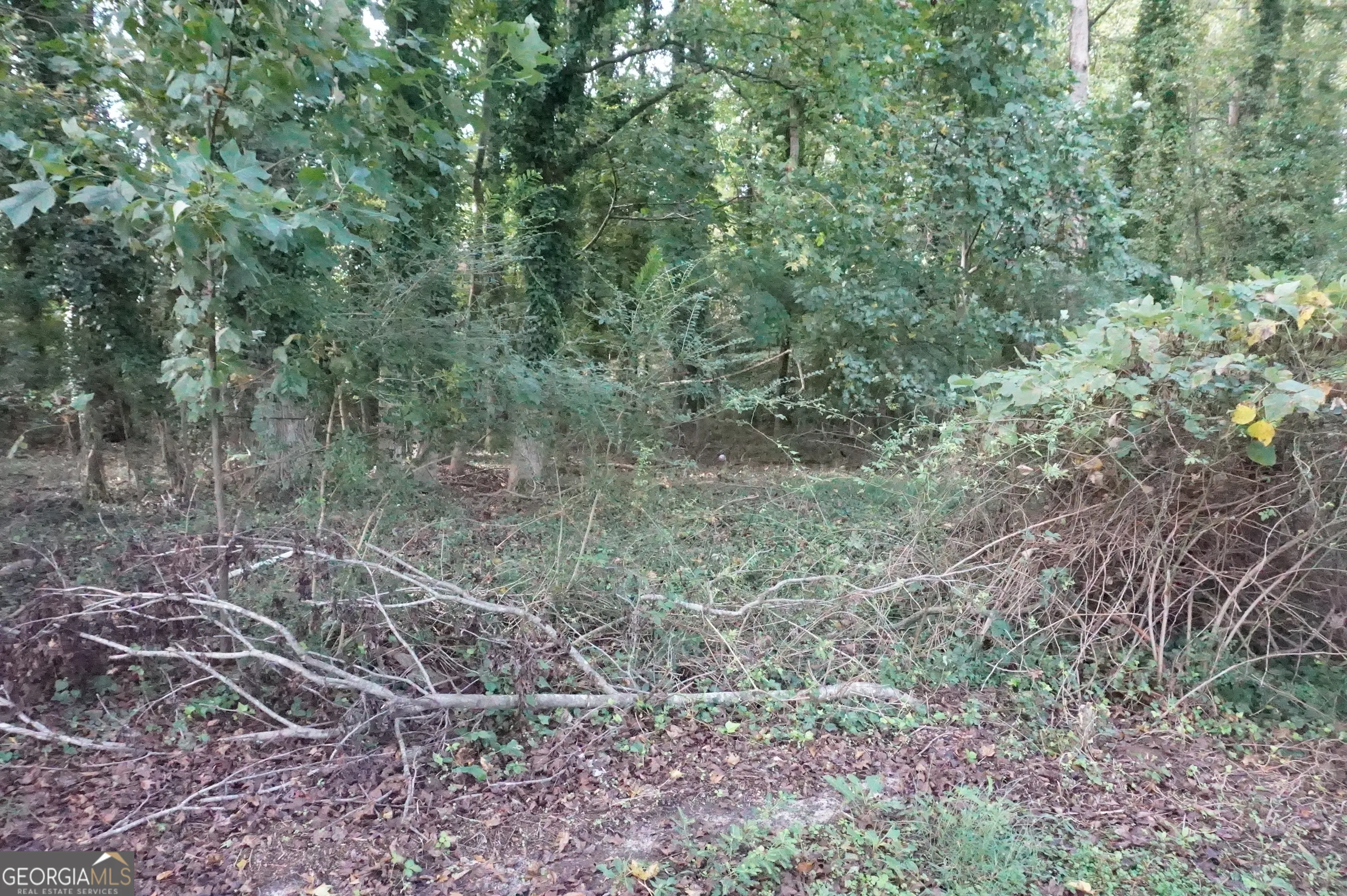 LOT 6 Pine Valley Circle