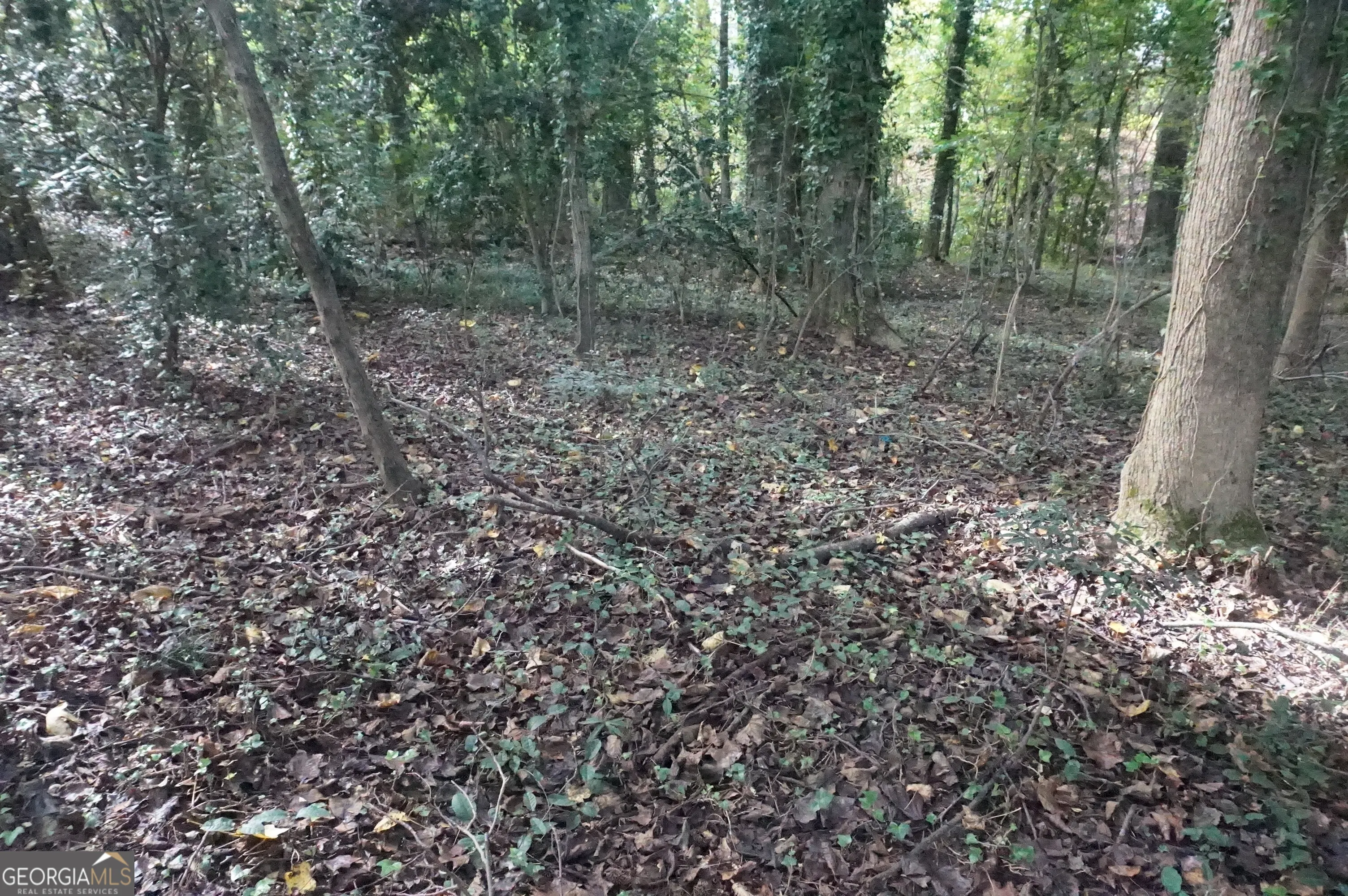 LOT 6 Pine Valley Circle
