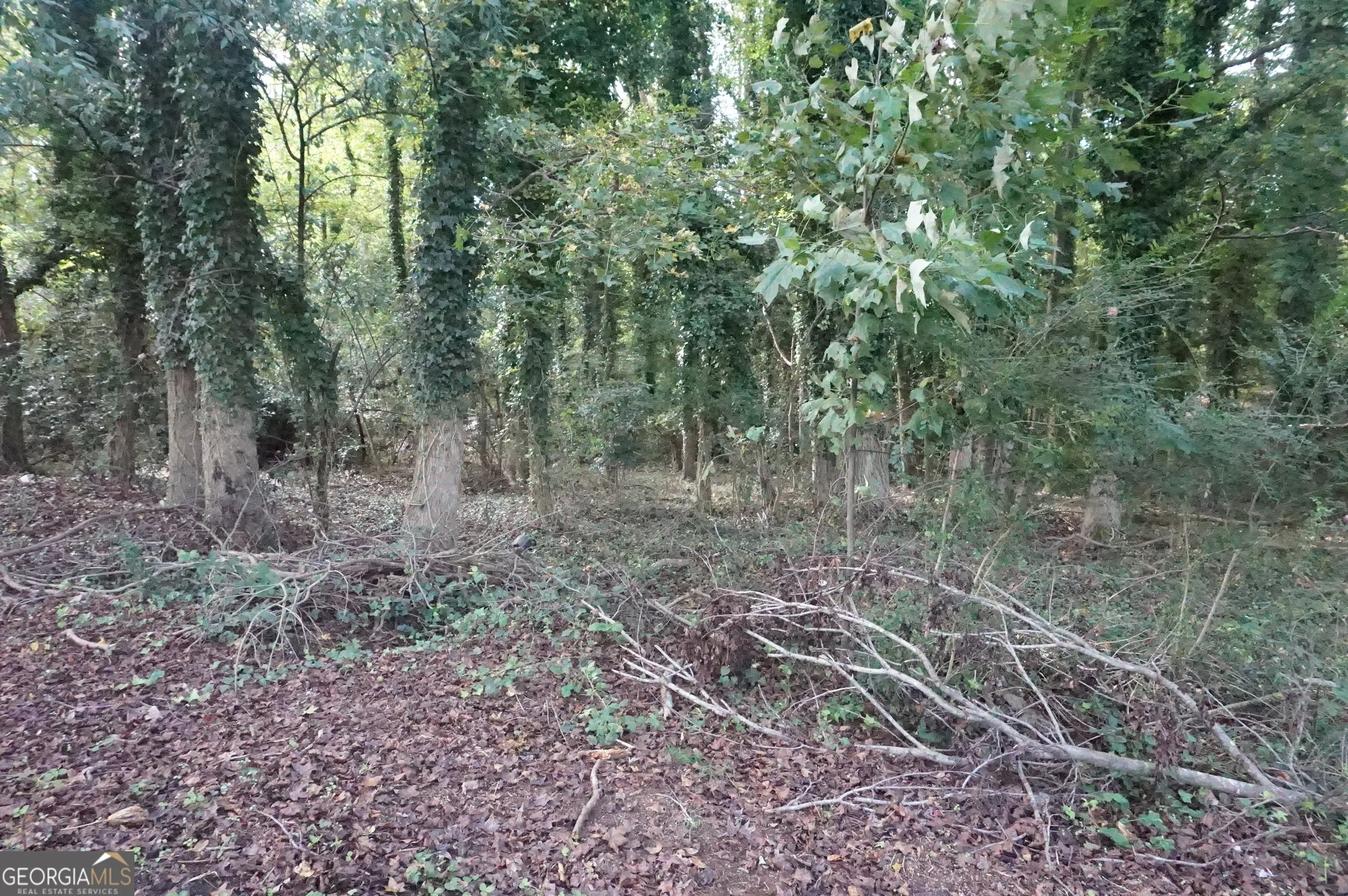 LOT 6 Pine Valley Circle