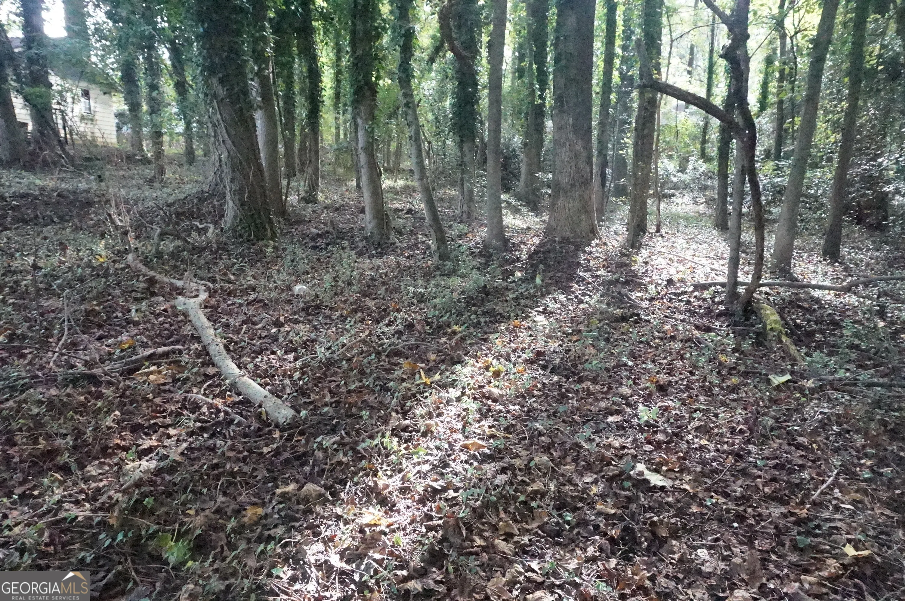 LOT 6 Pine Valley Circle