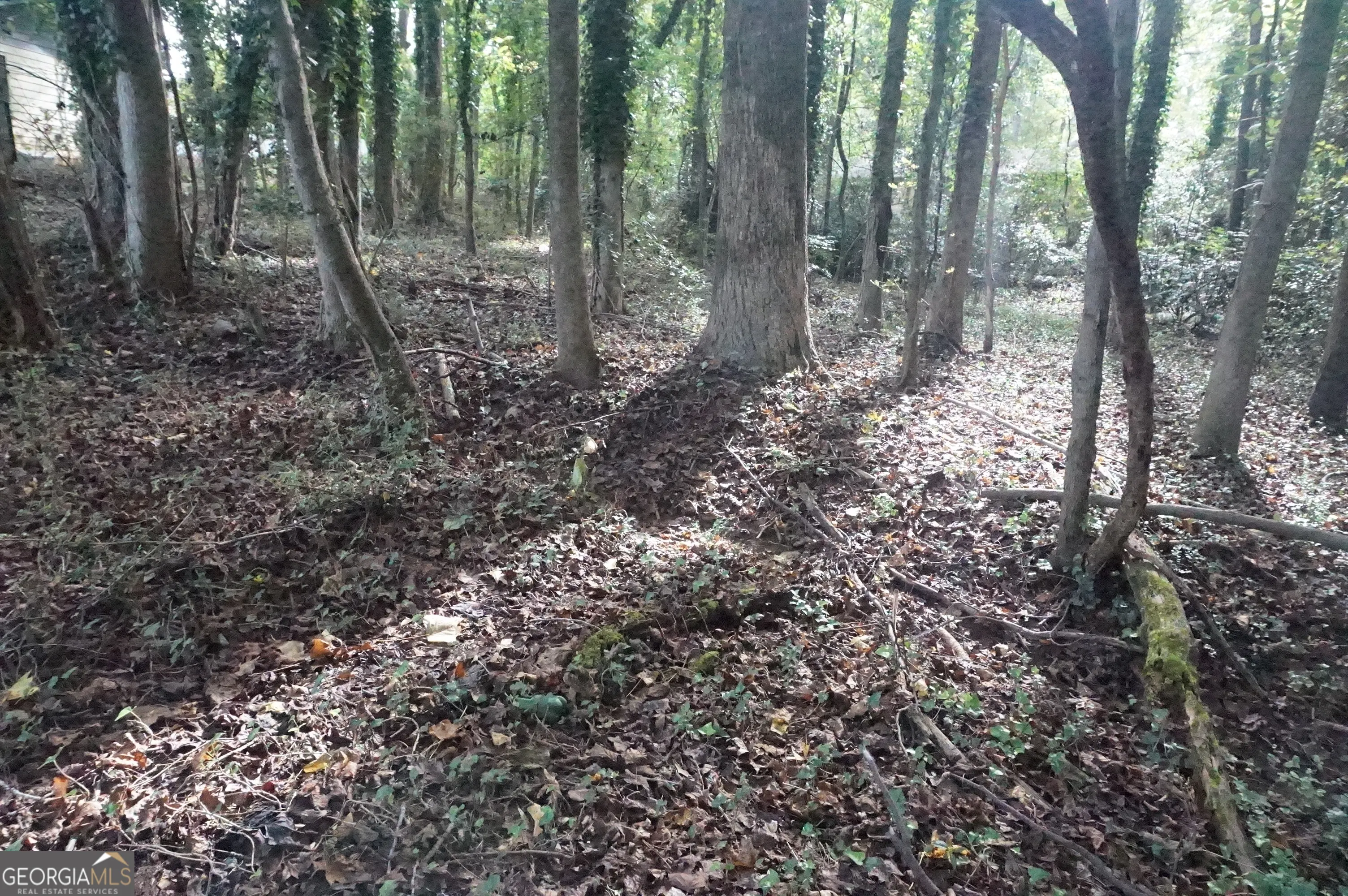 LOT 6 Pine Valley Circle