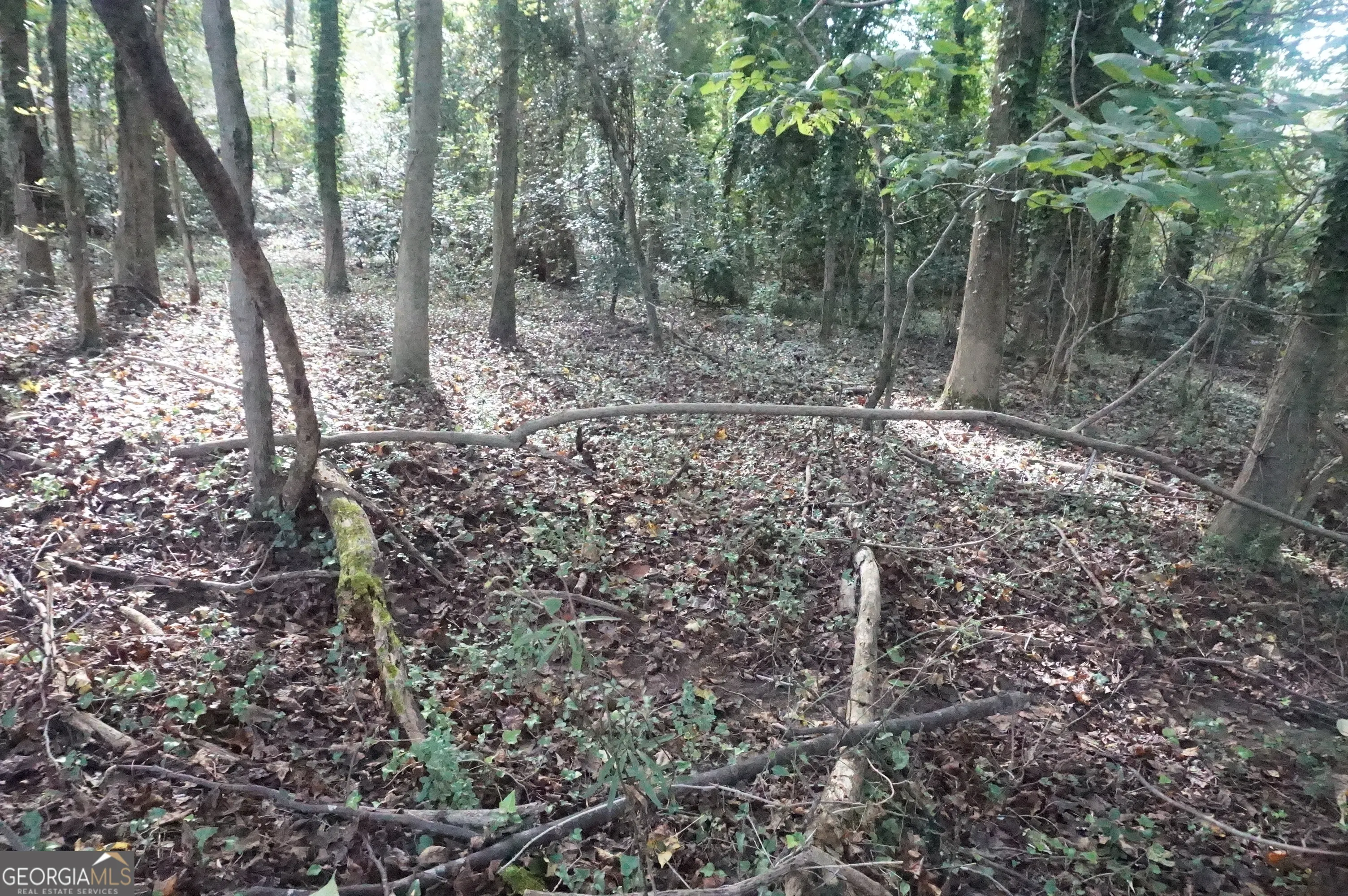 LOT 6 Pine Valley Circle