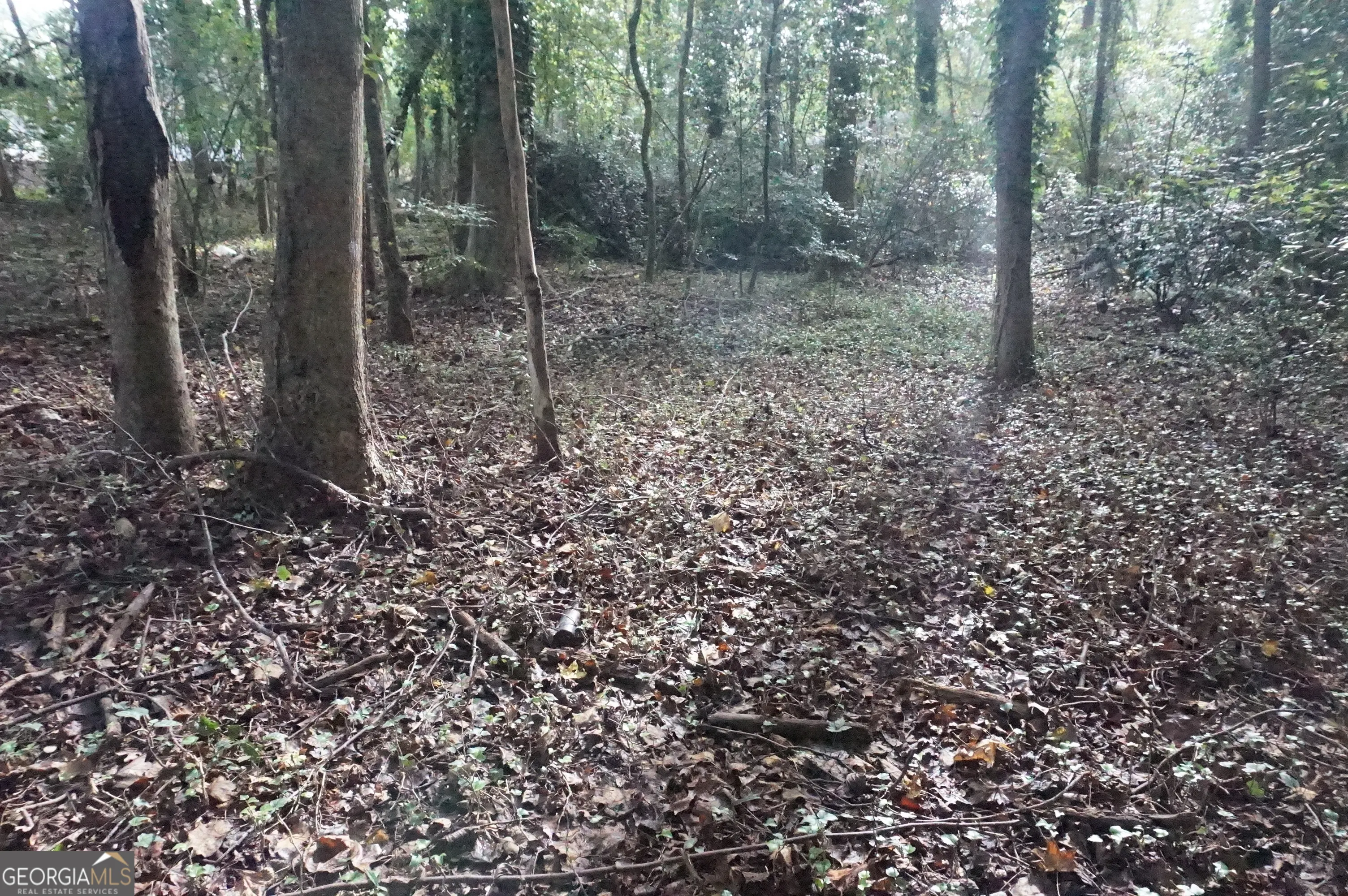 LOT 6 Pine Valley Circle