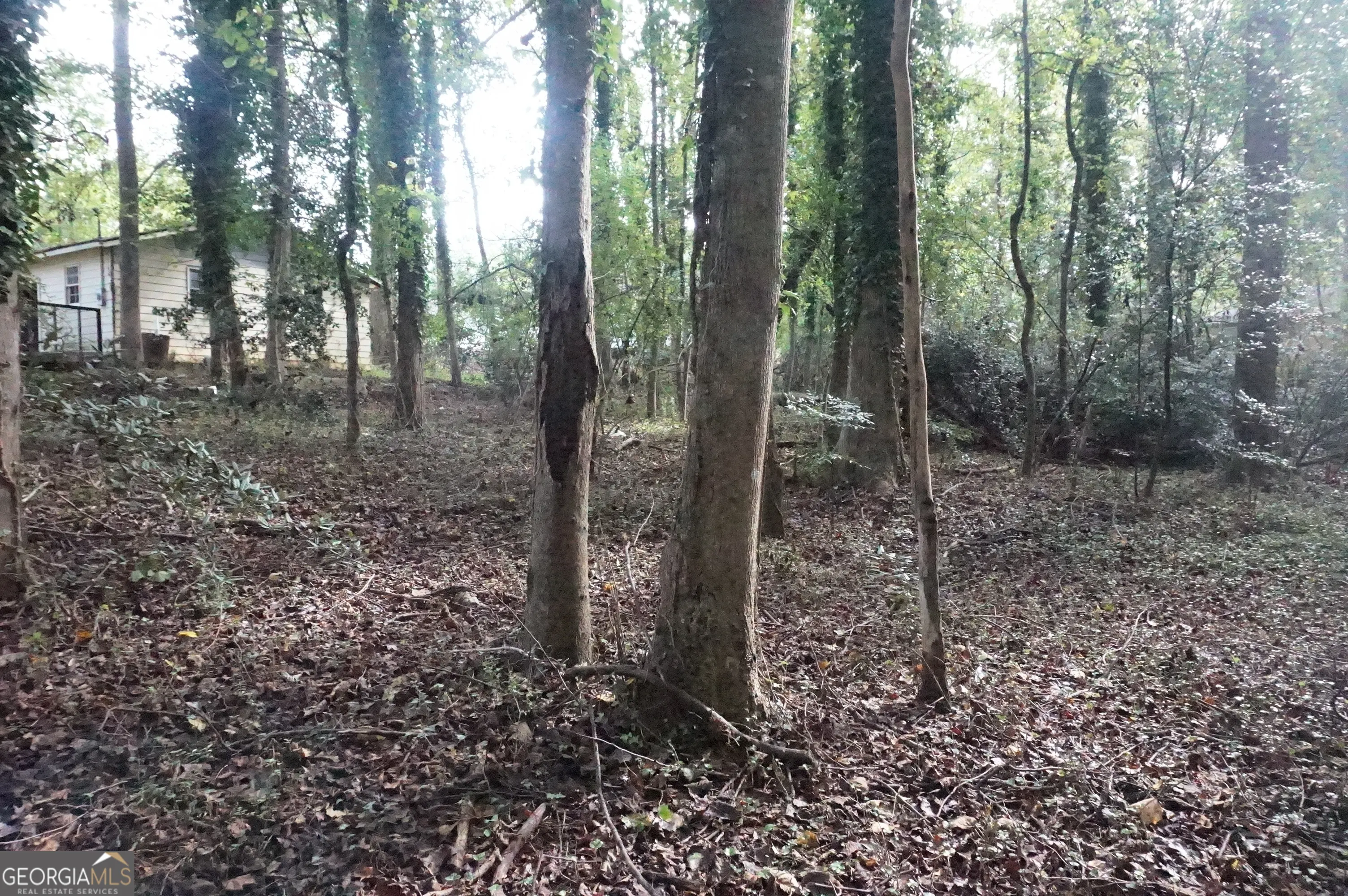 LOT 6 Pine Valley Circle