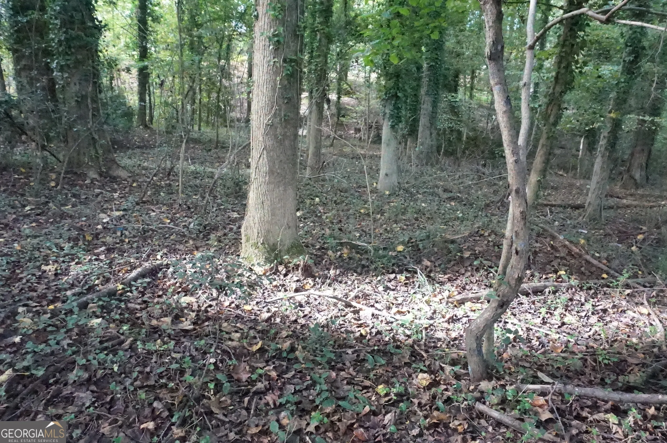 LOT 6 Pine Valley Circle