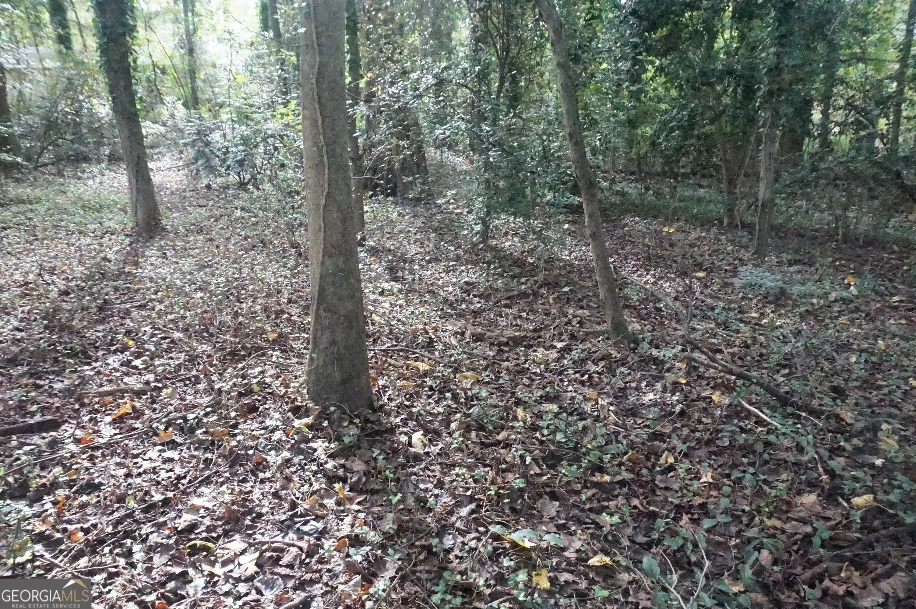 LOT 6 Pine Valley Circle