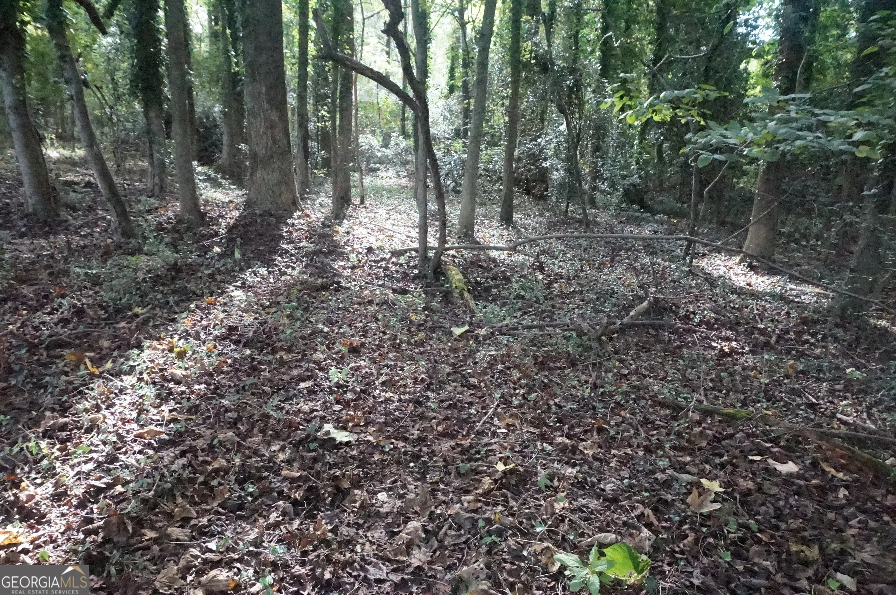 LOT 6 Pine Valley Circle
