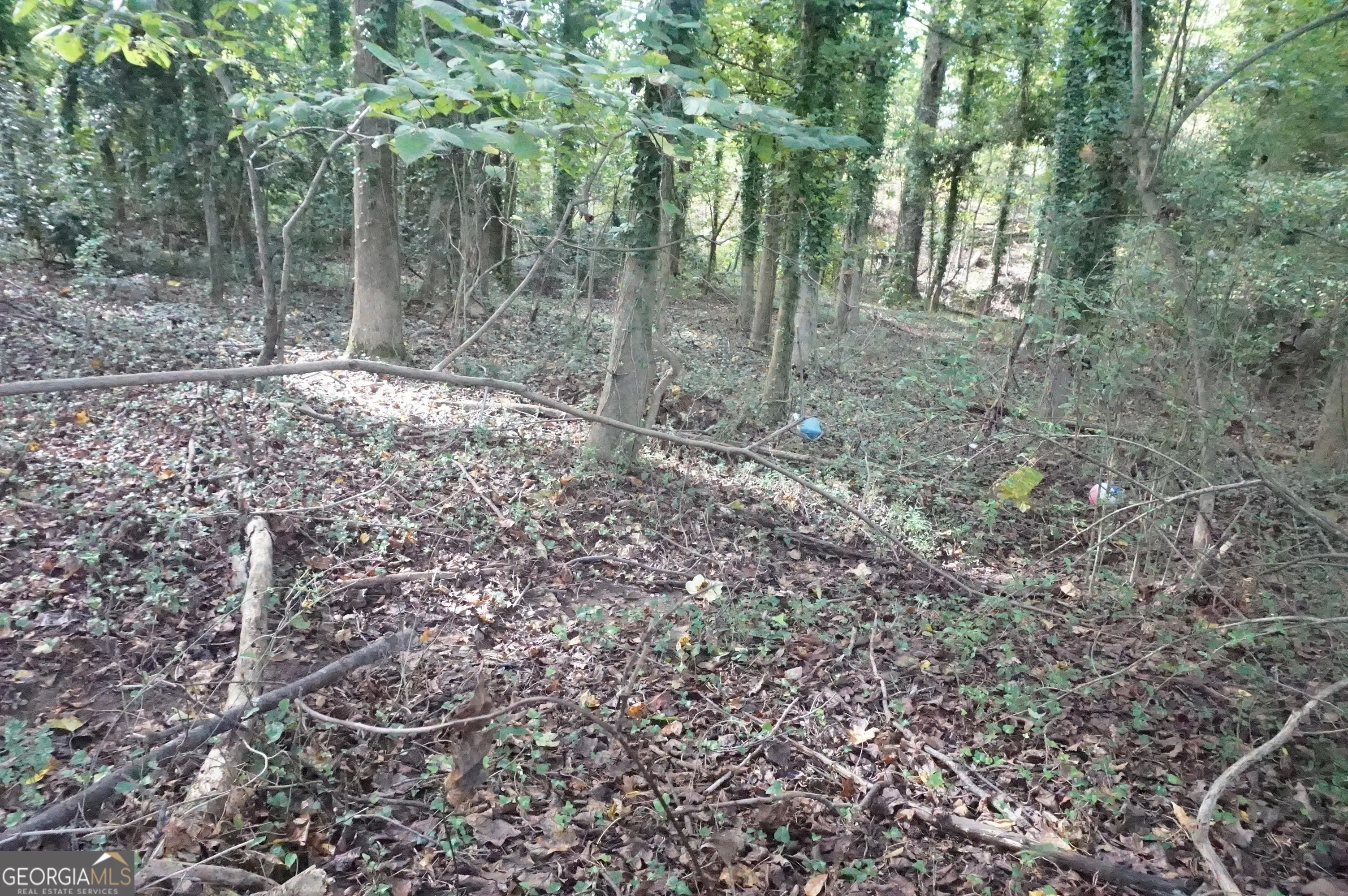 LOT 6 Pine Valley Circle
