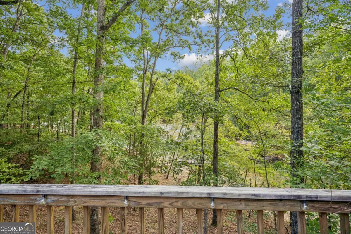 9320 Chestatee Court