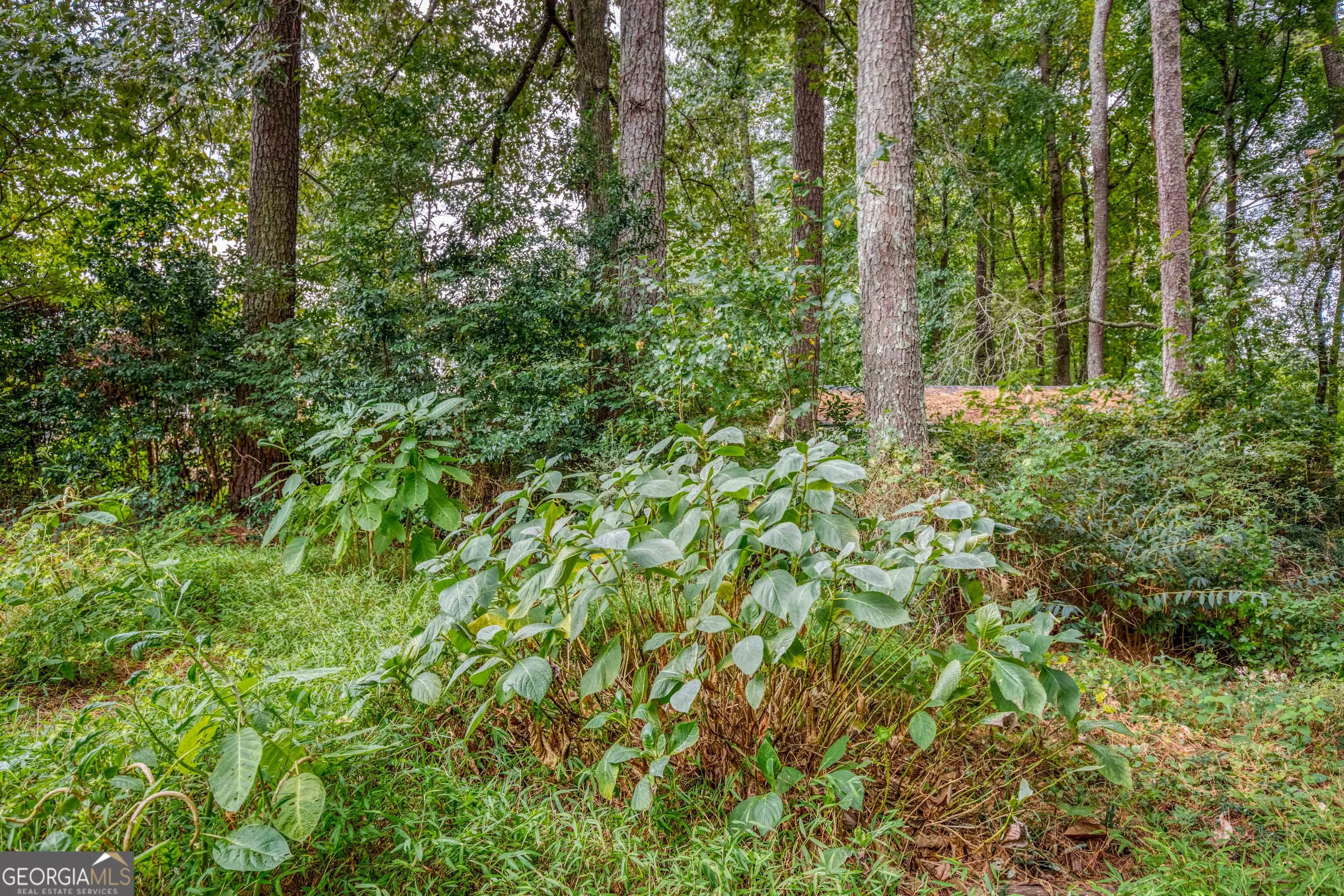 2173 Timber Lane, #6