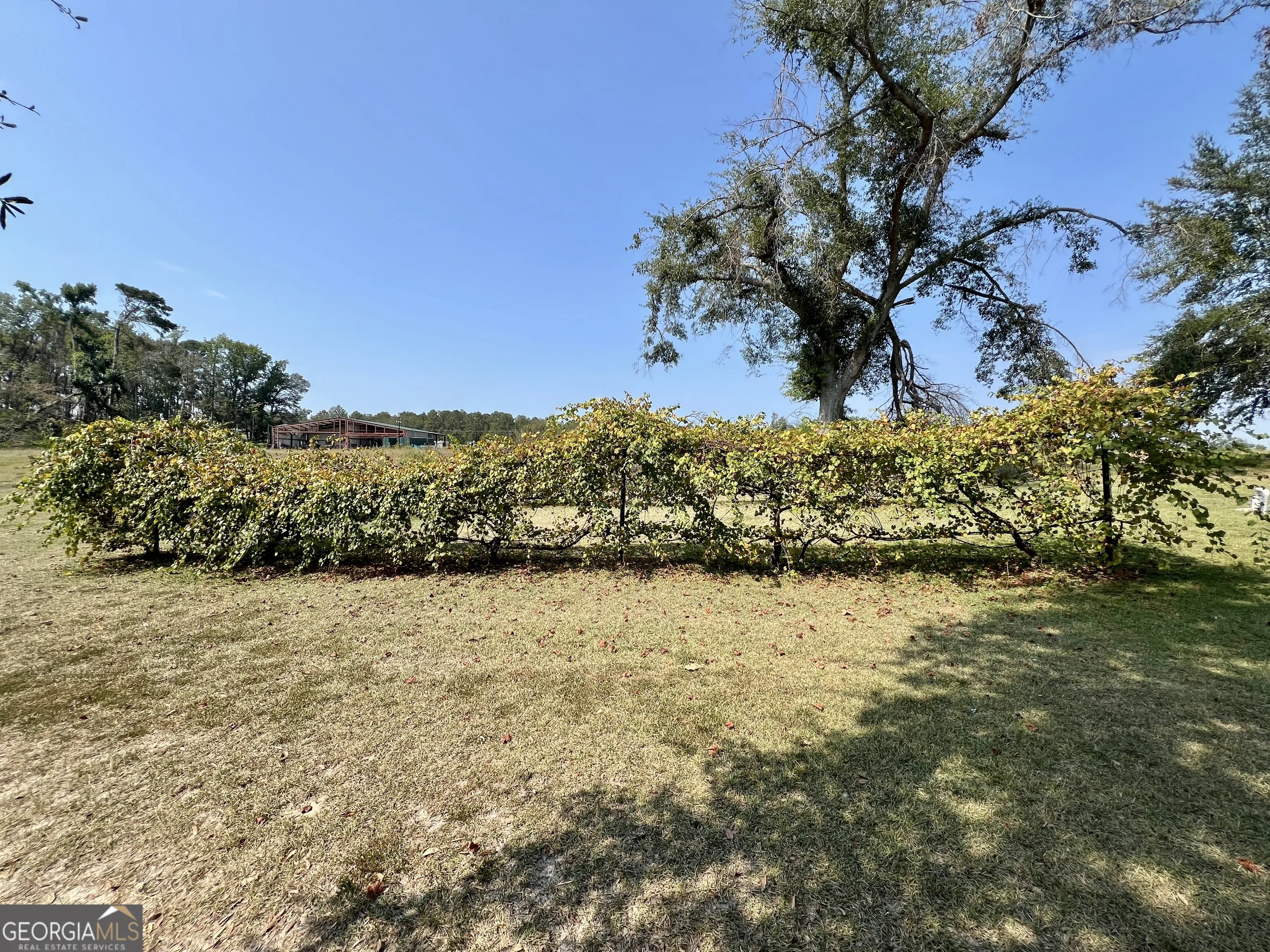 4281 Ga Highway 46