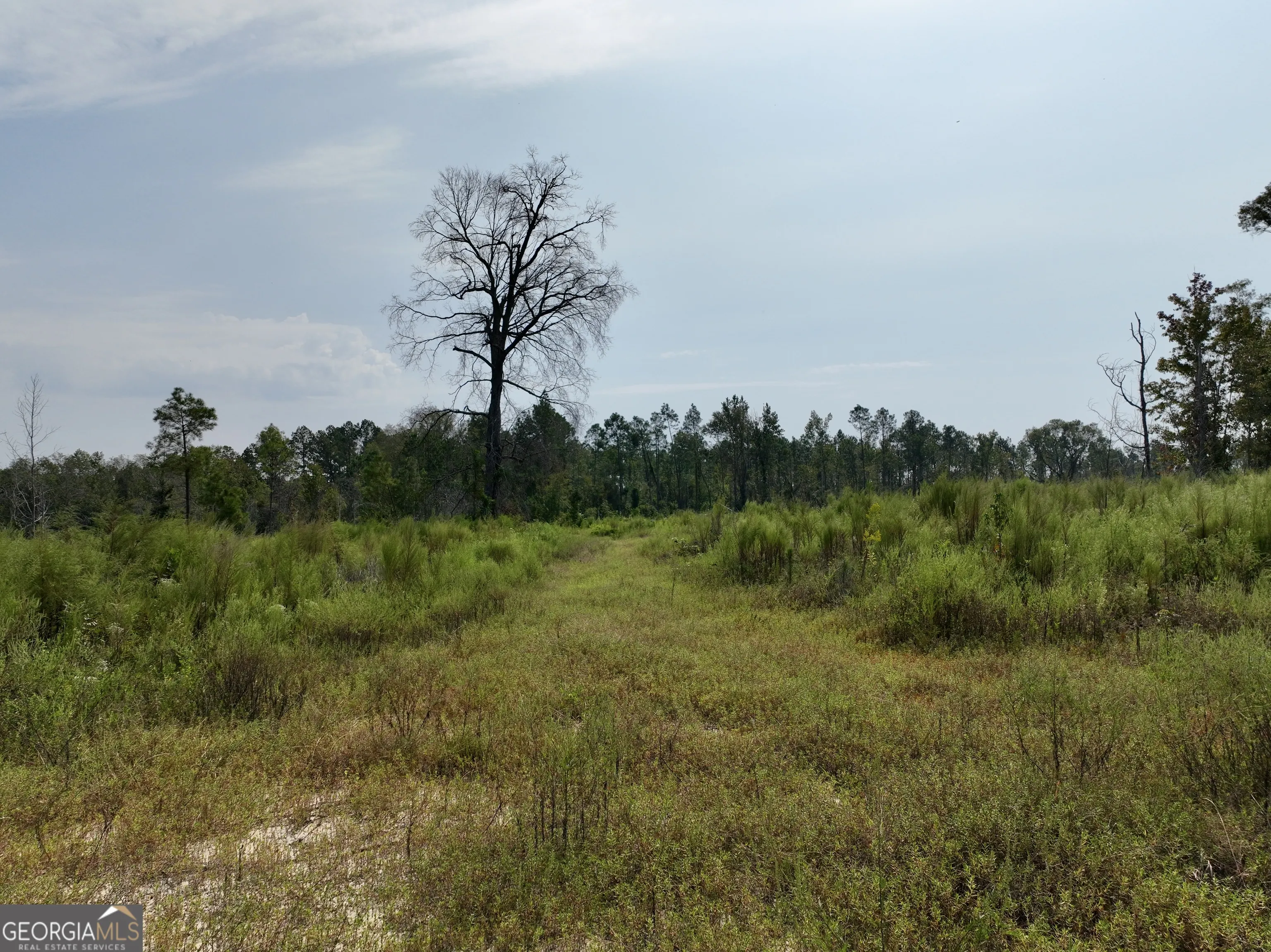 4281 Ga Highway 46