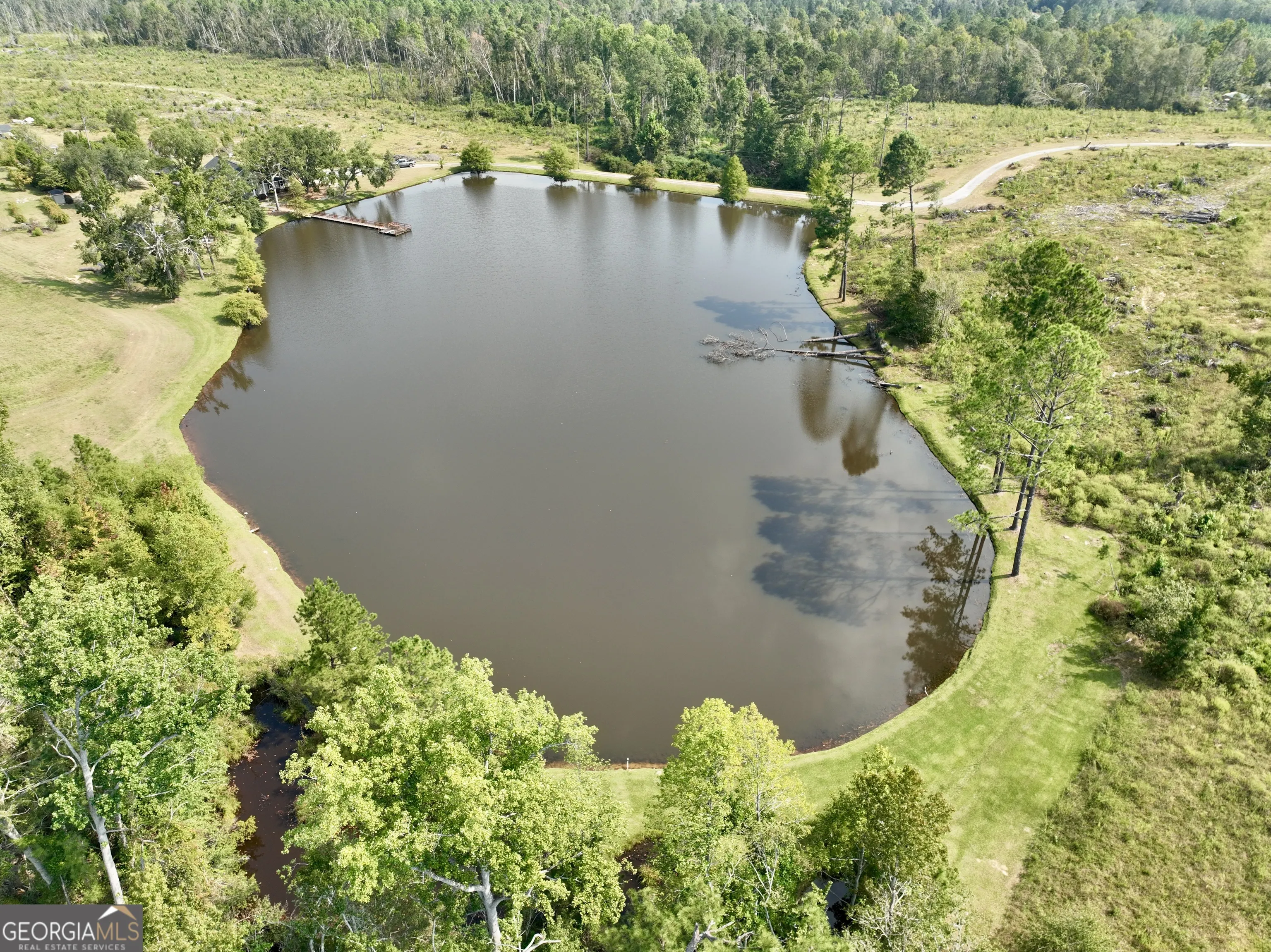 4281 Ga Highway 46