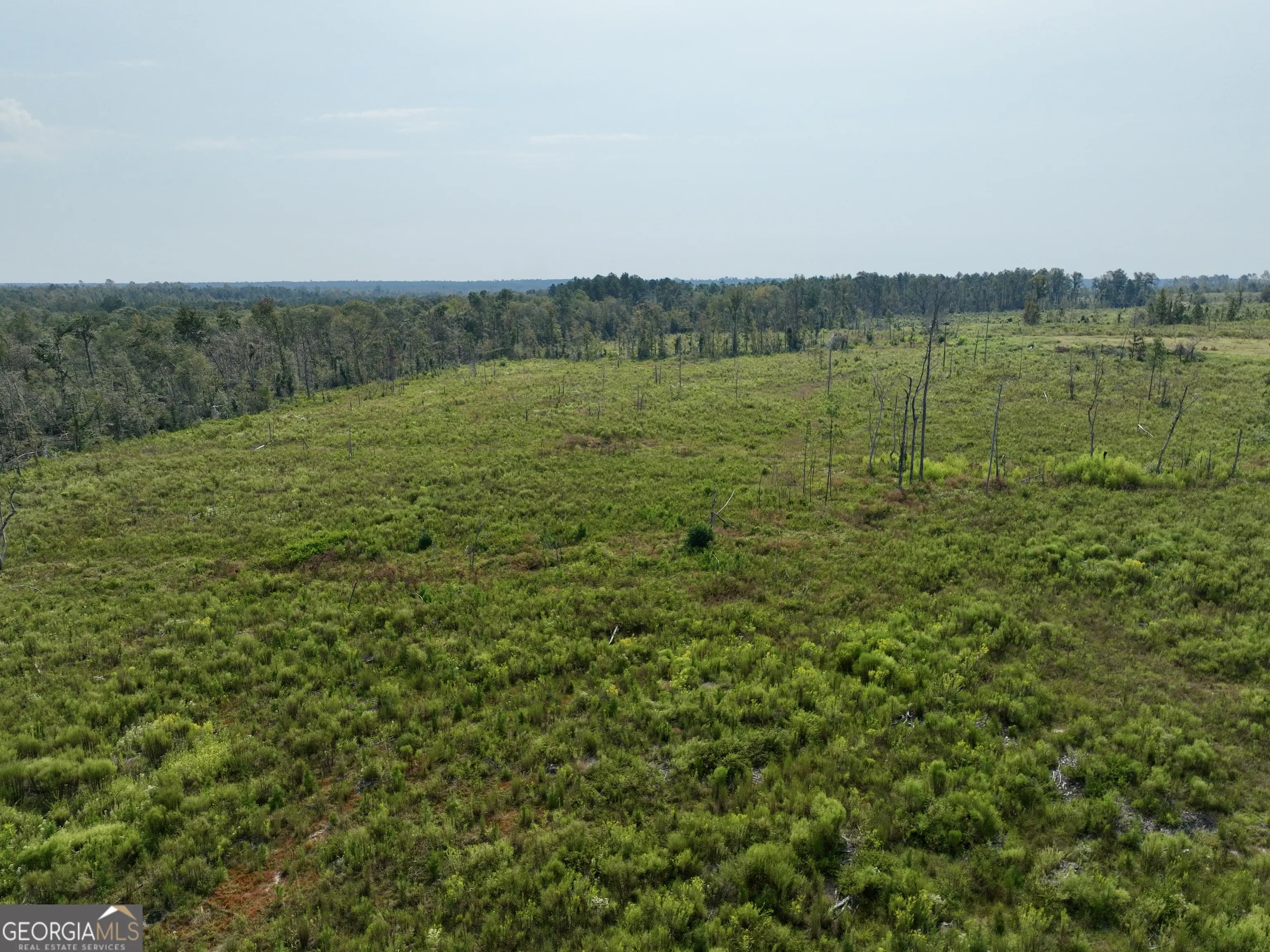 4281 Ga Highway 46