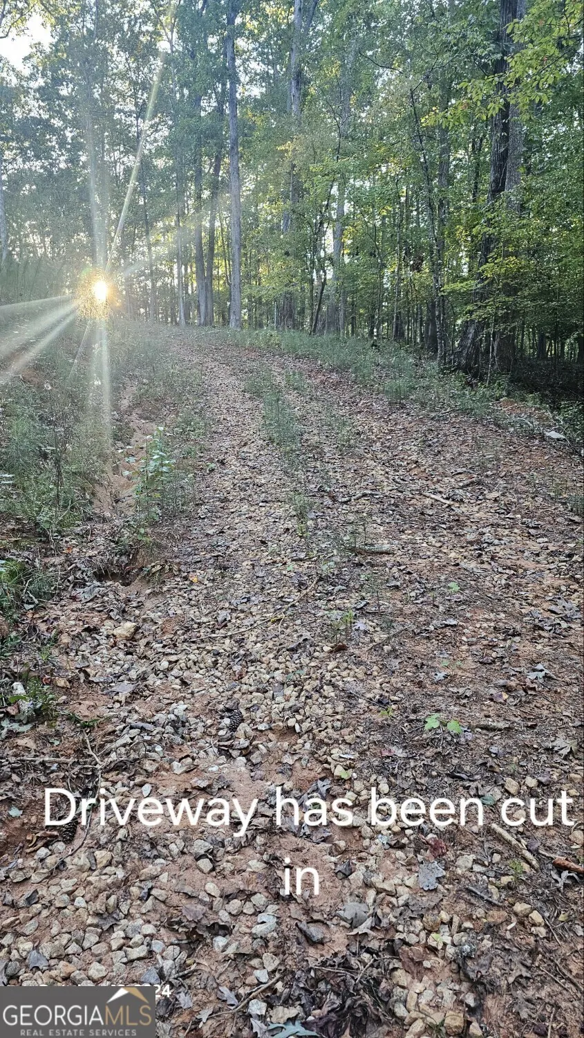 584 Moccasin Gap Road