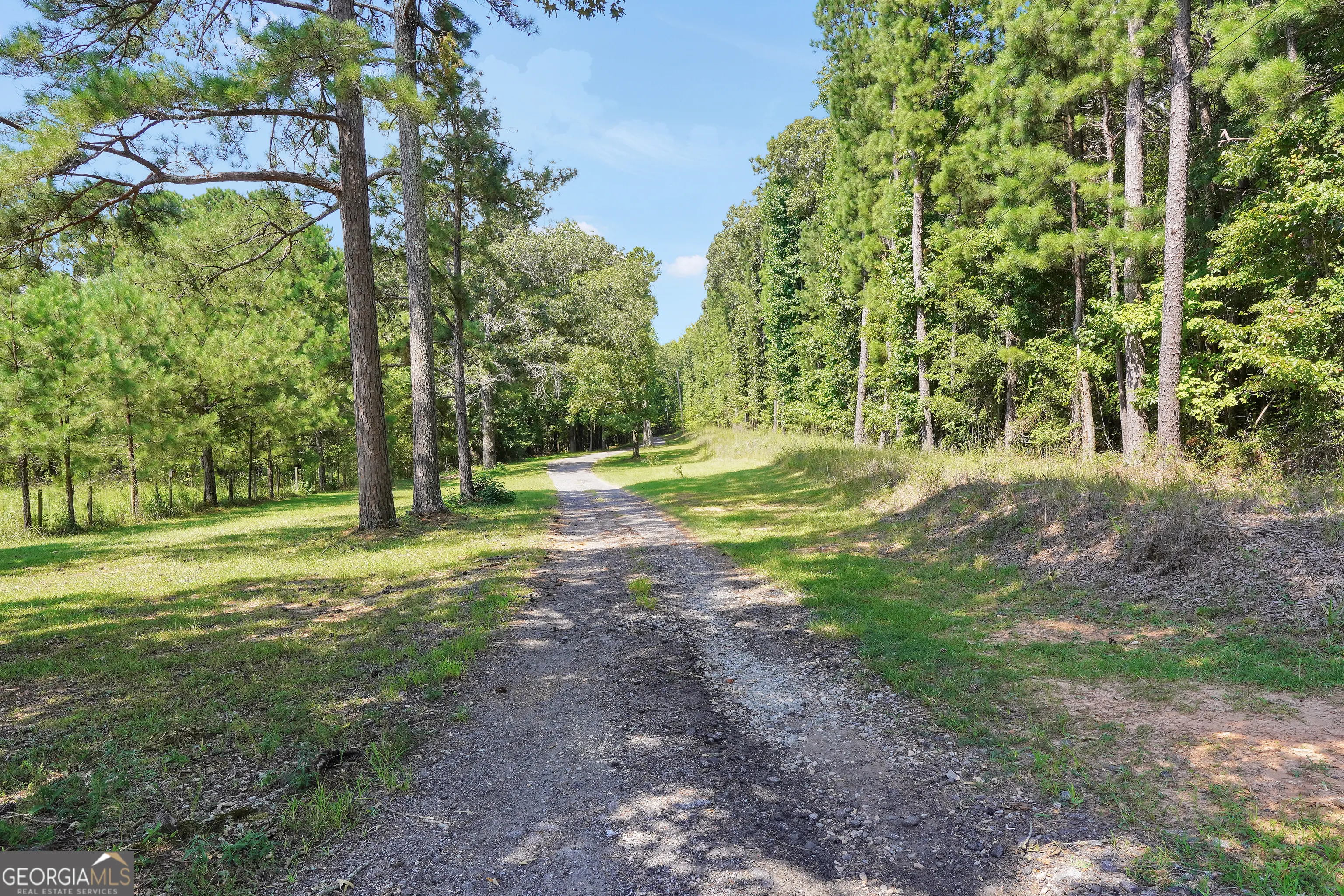 584 Moccasin Gap Road