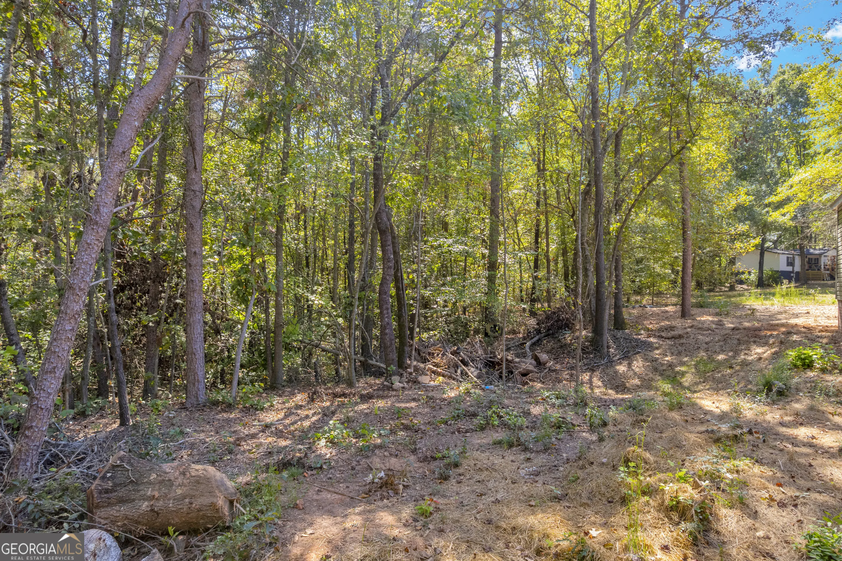 596 Pinetree Circle