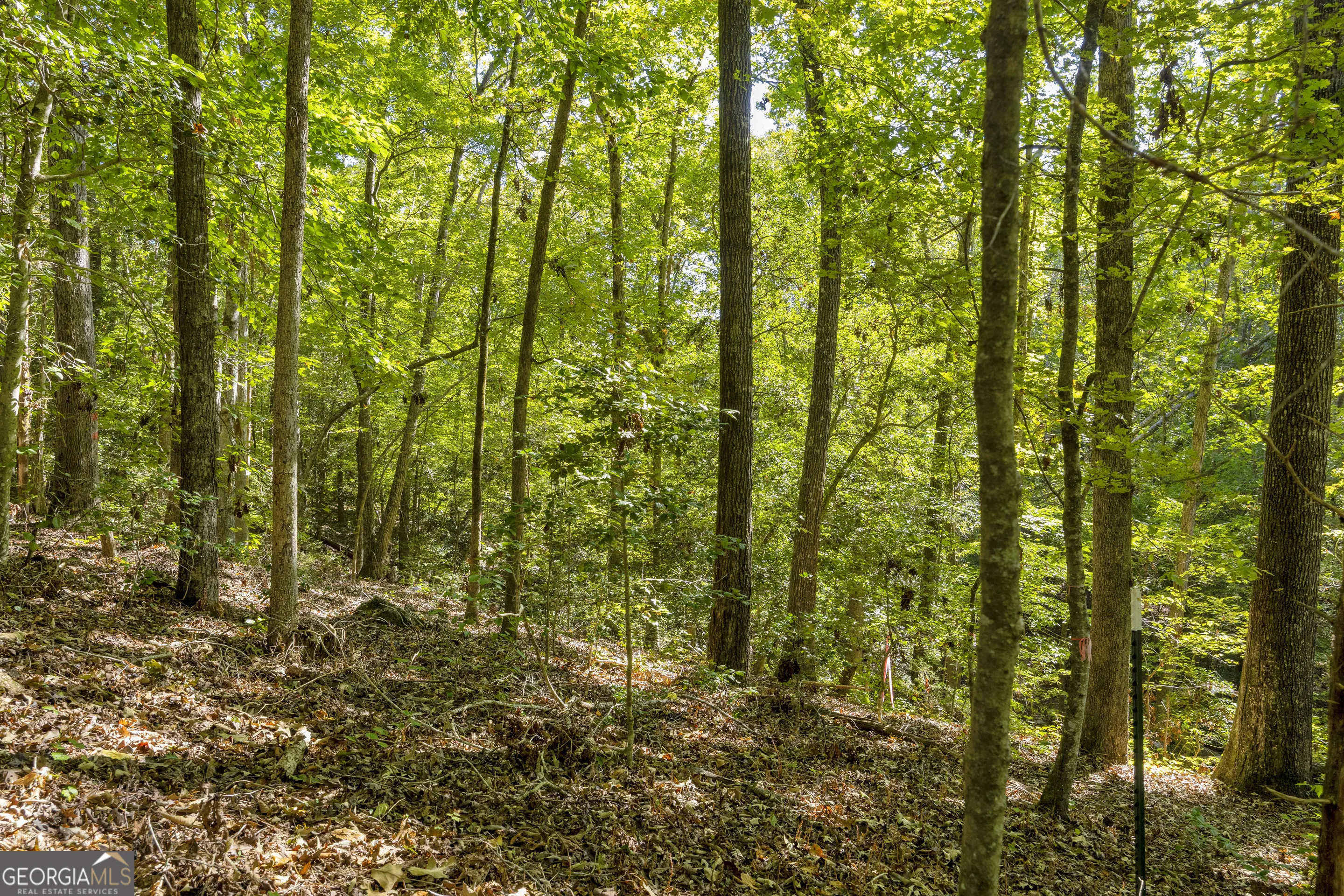 LOT 13 0 Long Pine Lane, #LOT 13