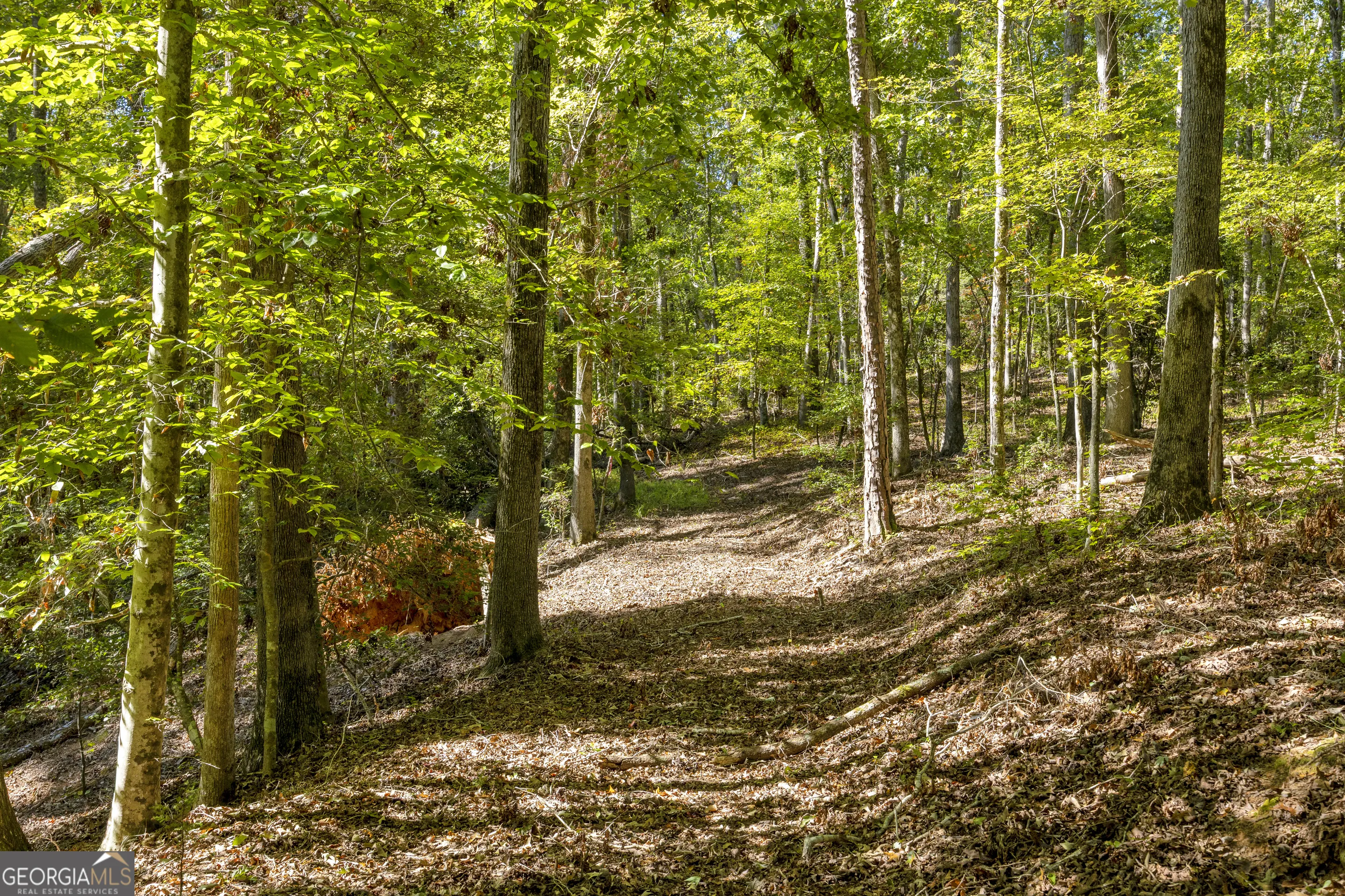LOT 13 0 Long Pine Lane, #LOT 13