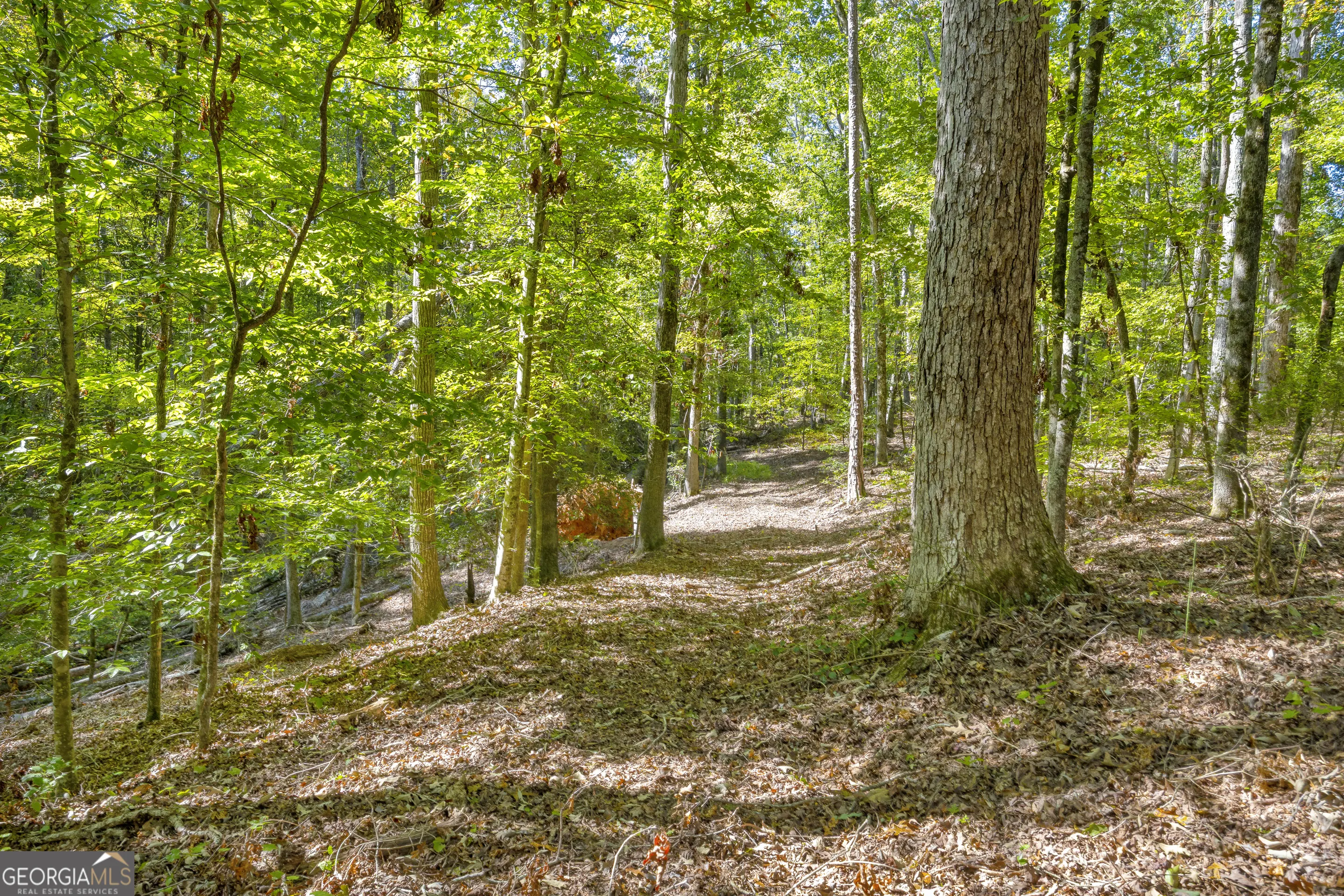 LOT 13 0 Long Pine Lane, #LOT 13