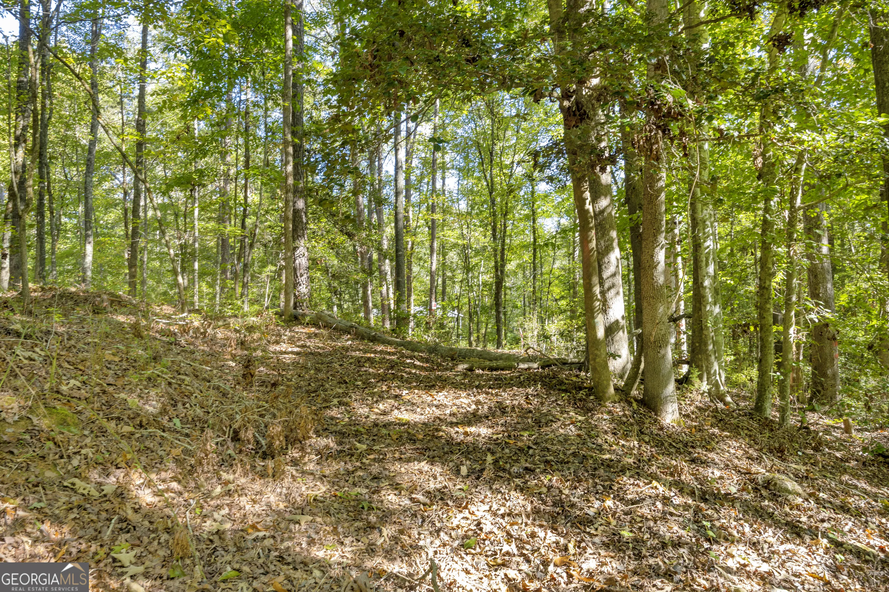 LOT 13 0 Long Pine Lane, #LOT 13