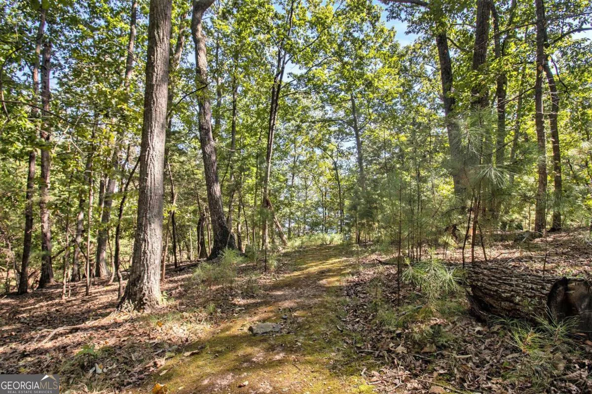 3115 Chimney Cove Lane