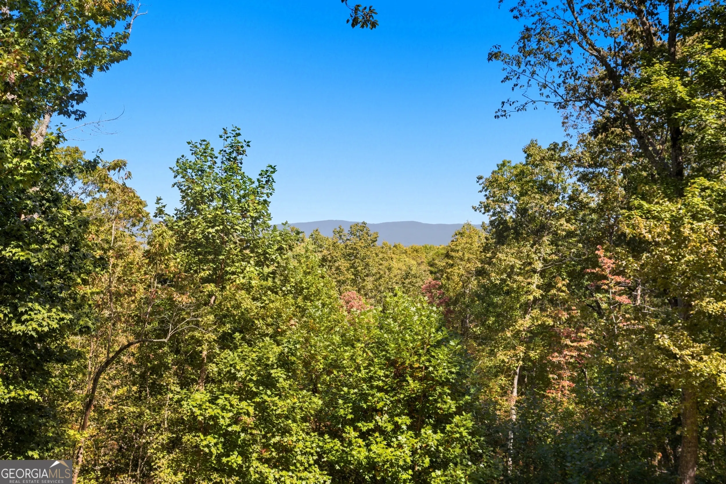 1947 Ivy Mountain Road
