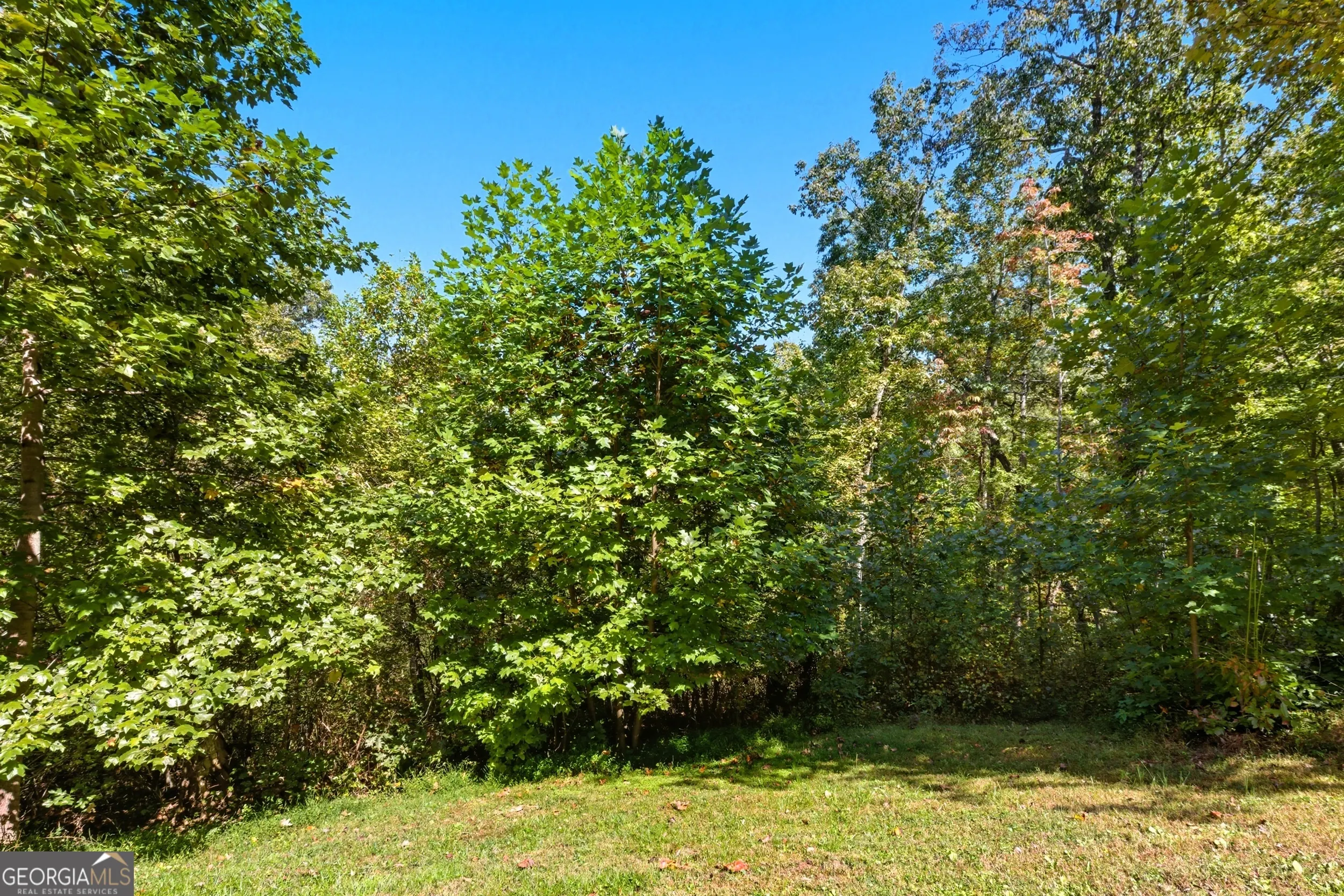 1947 Ivy Mountain Road