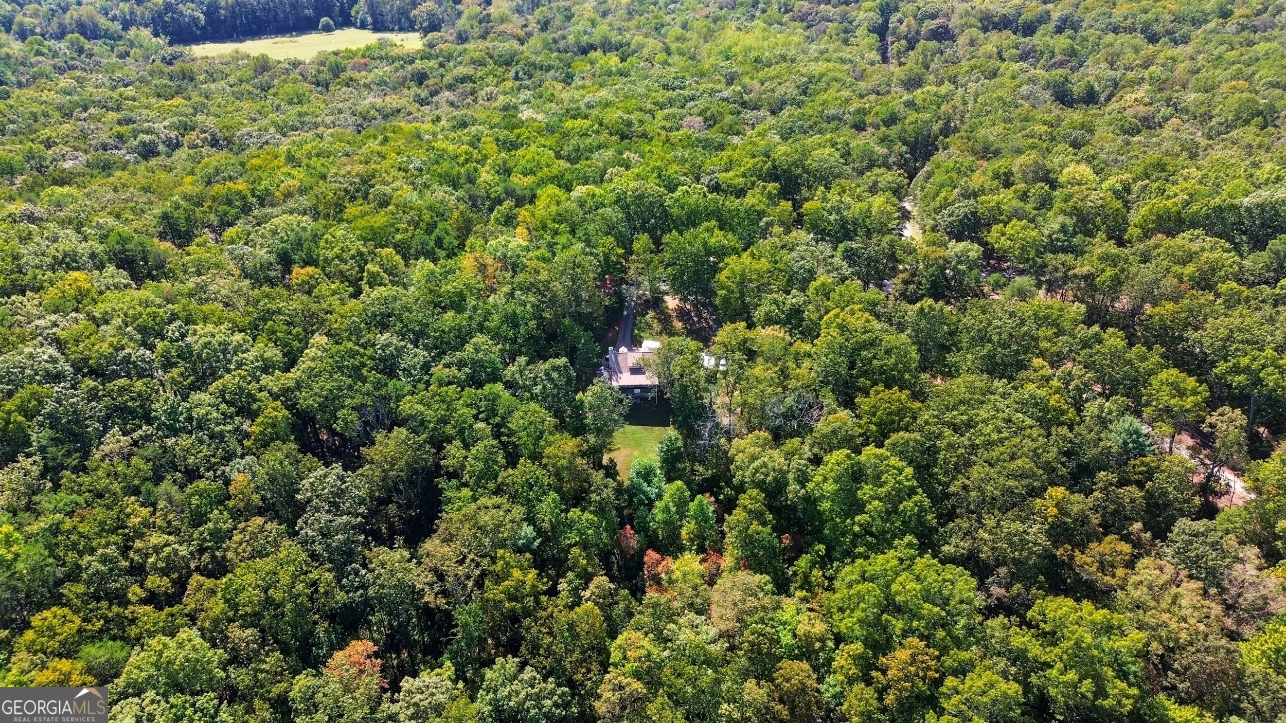 1947 Ivy Mountain Road