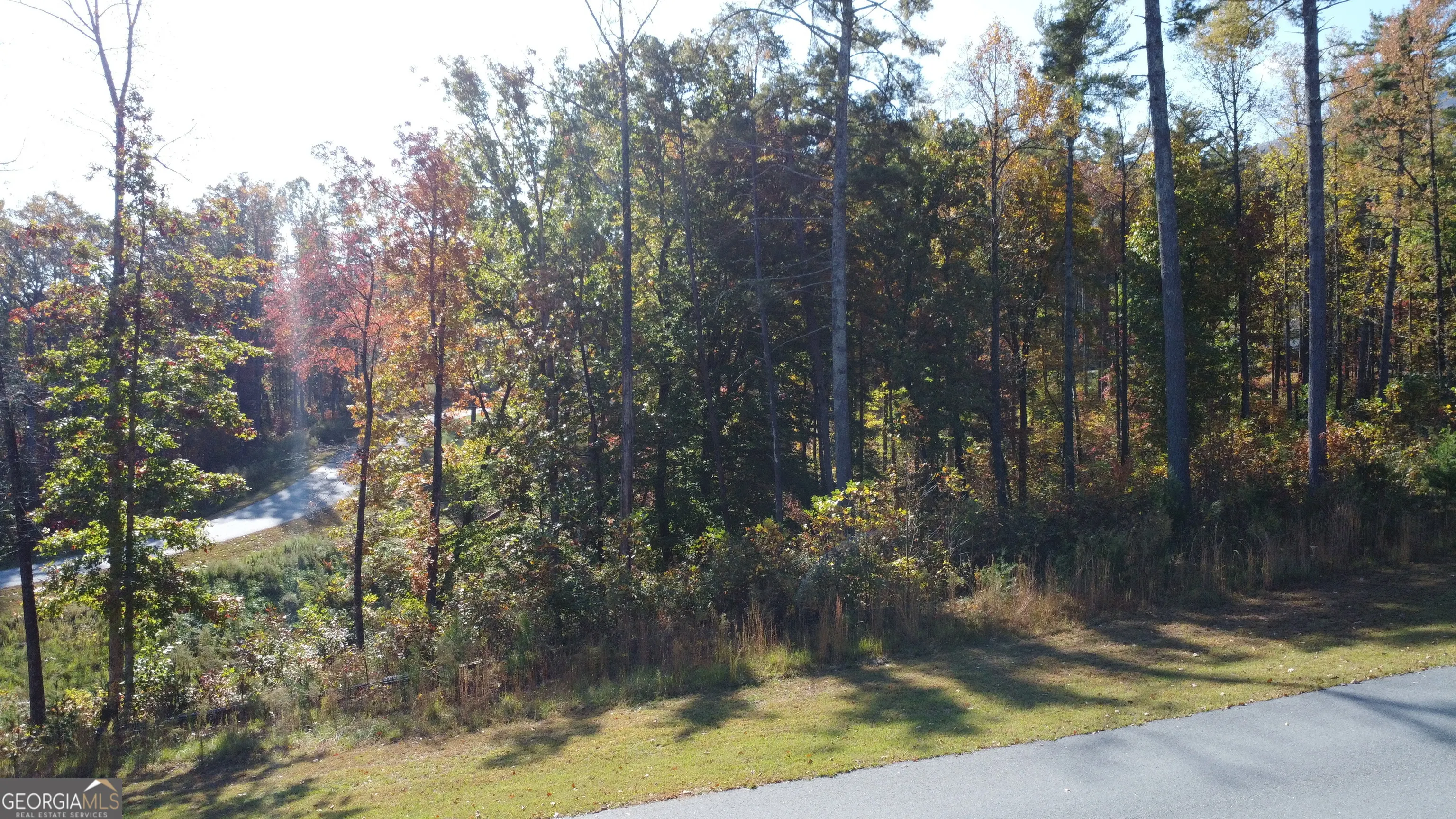 LOT 73 Leisure Mountain Trail