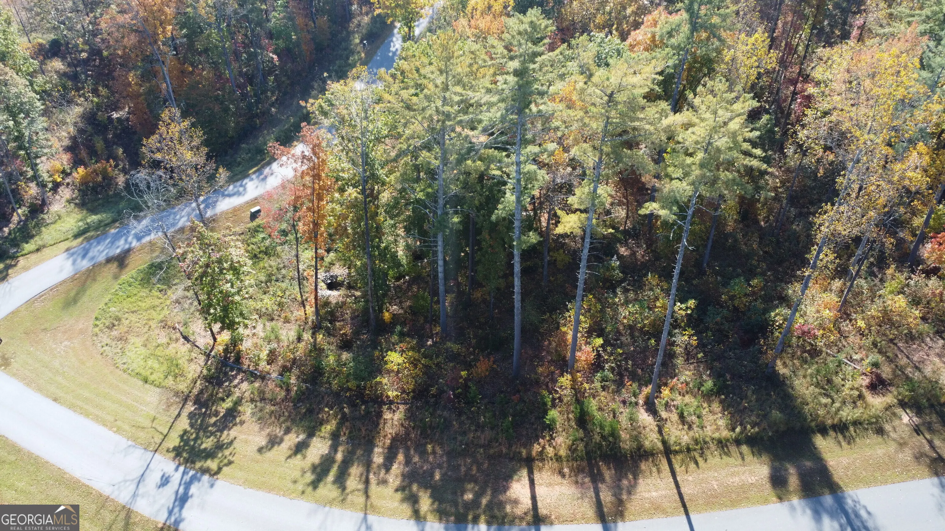 LOT 73 Leisure Mountain Trail