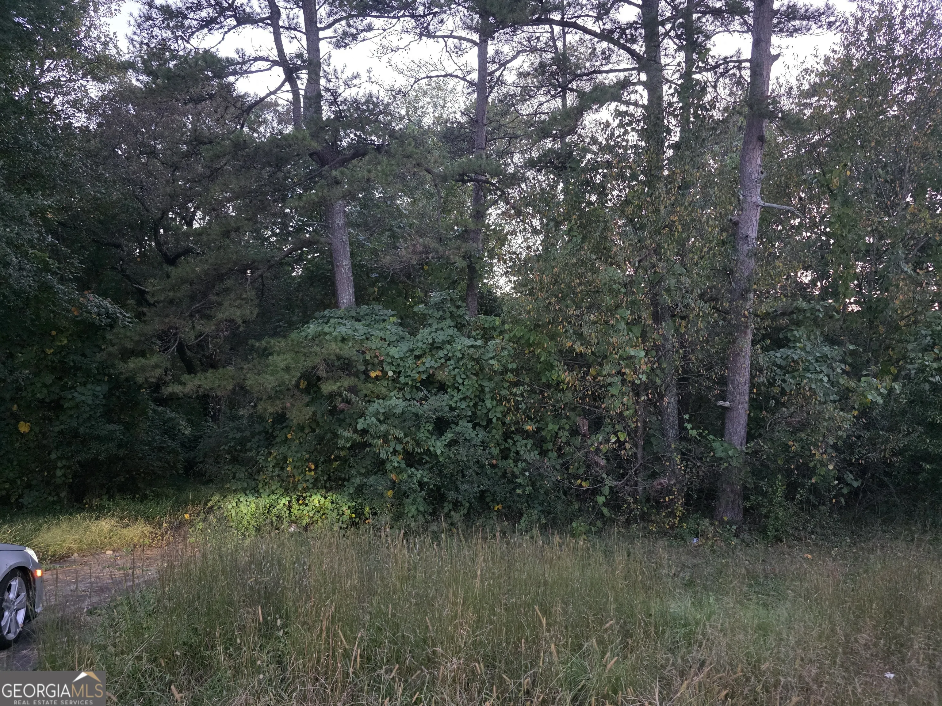 5613 Bogus Road