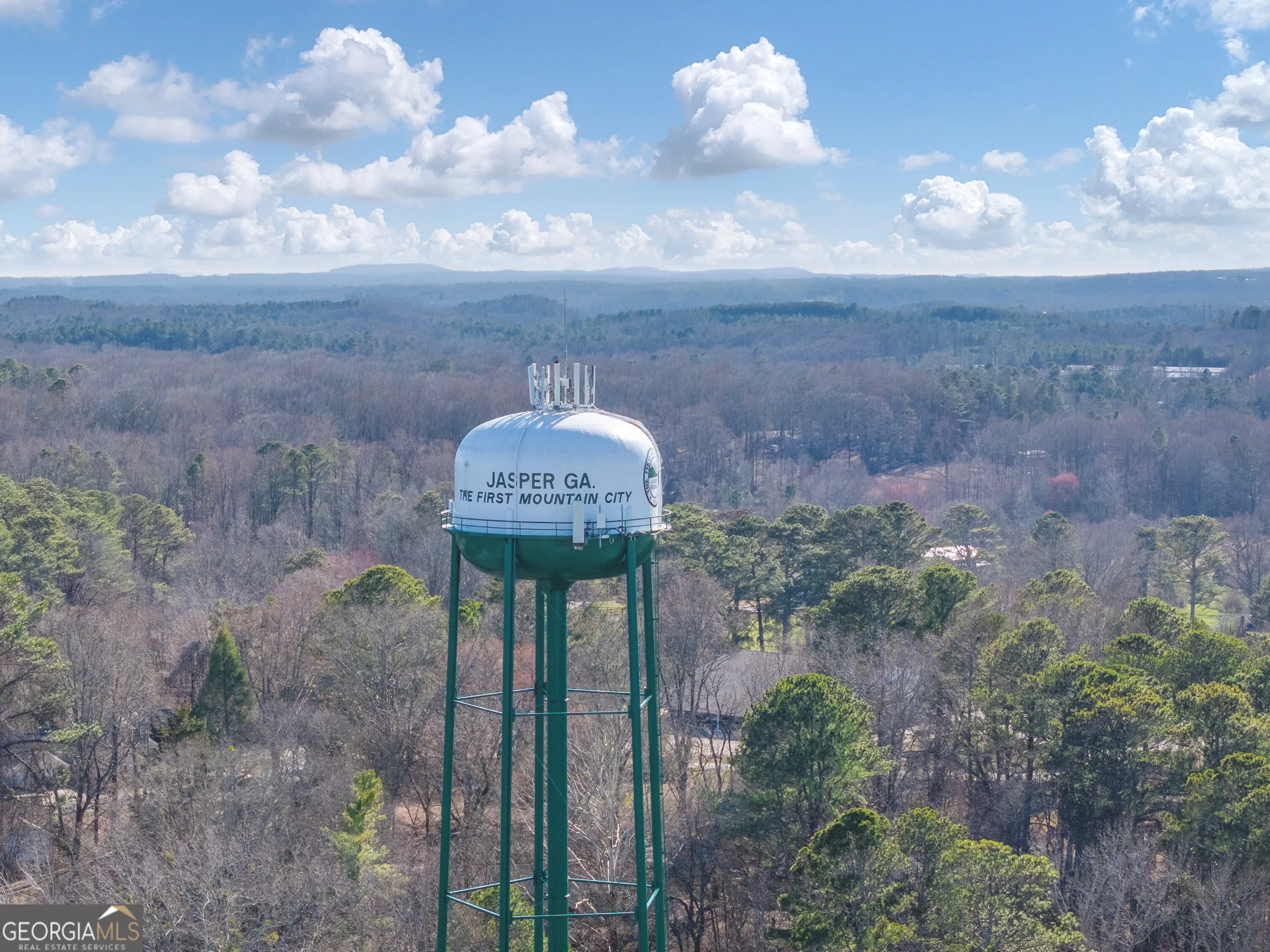 32 200 Deerberry Drive, #0