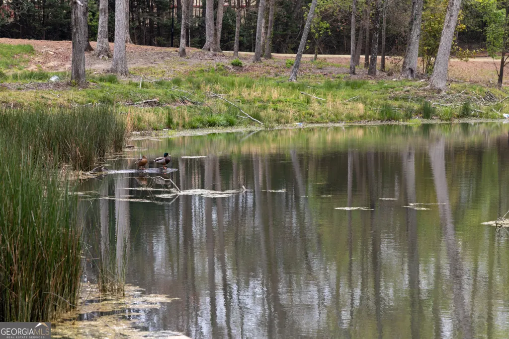 LOT 53 1725 HARPER LILY Lane, #LOT 53