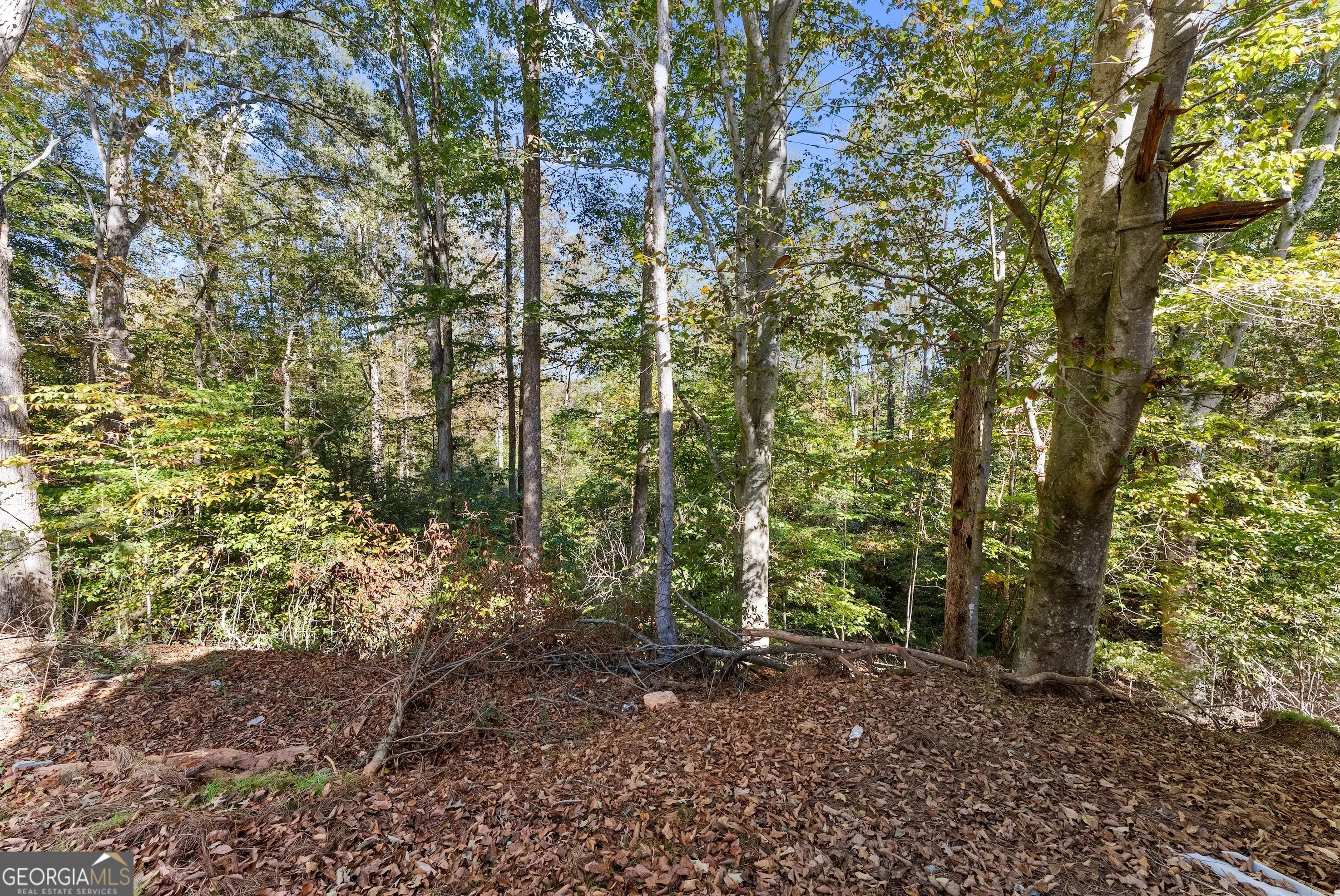 490 Magnolia Grove Place