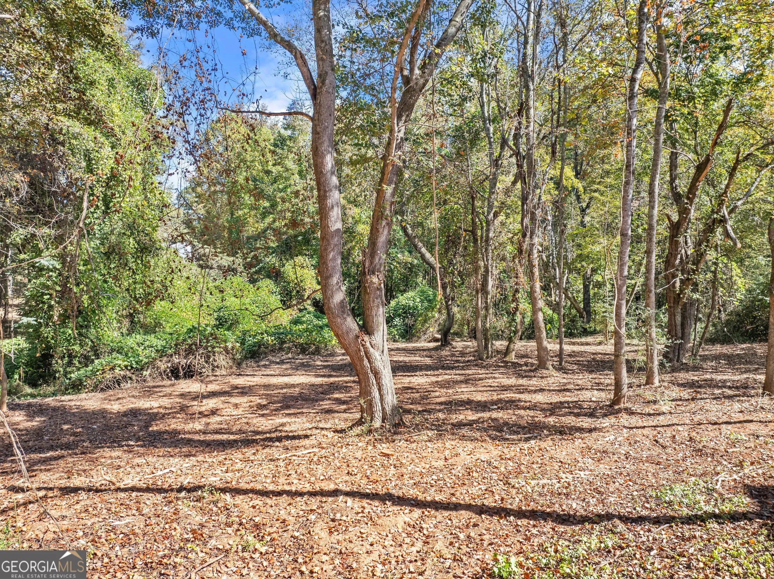 325 Magnolia Villas Drive