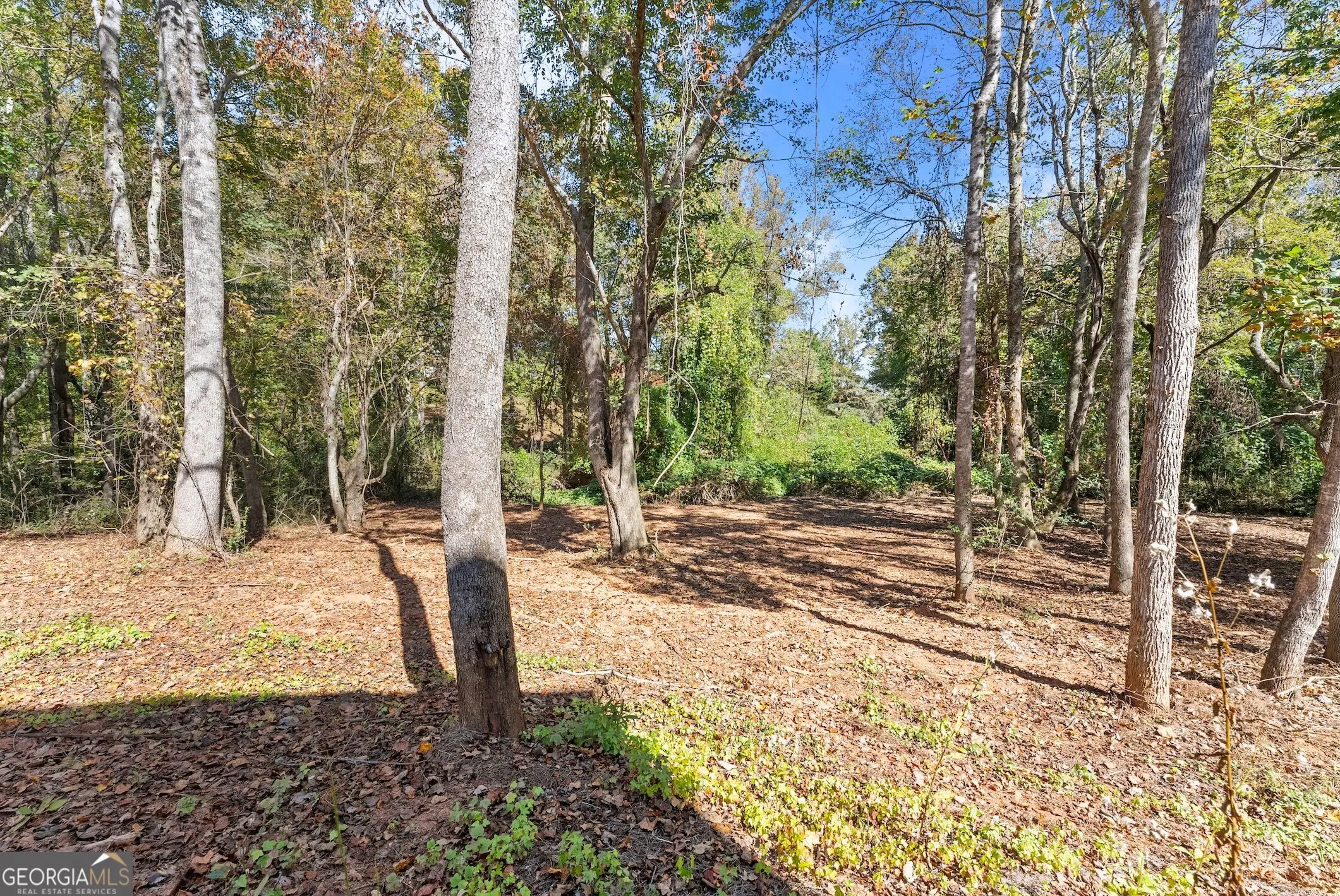 325 Magnolia Villas Drive