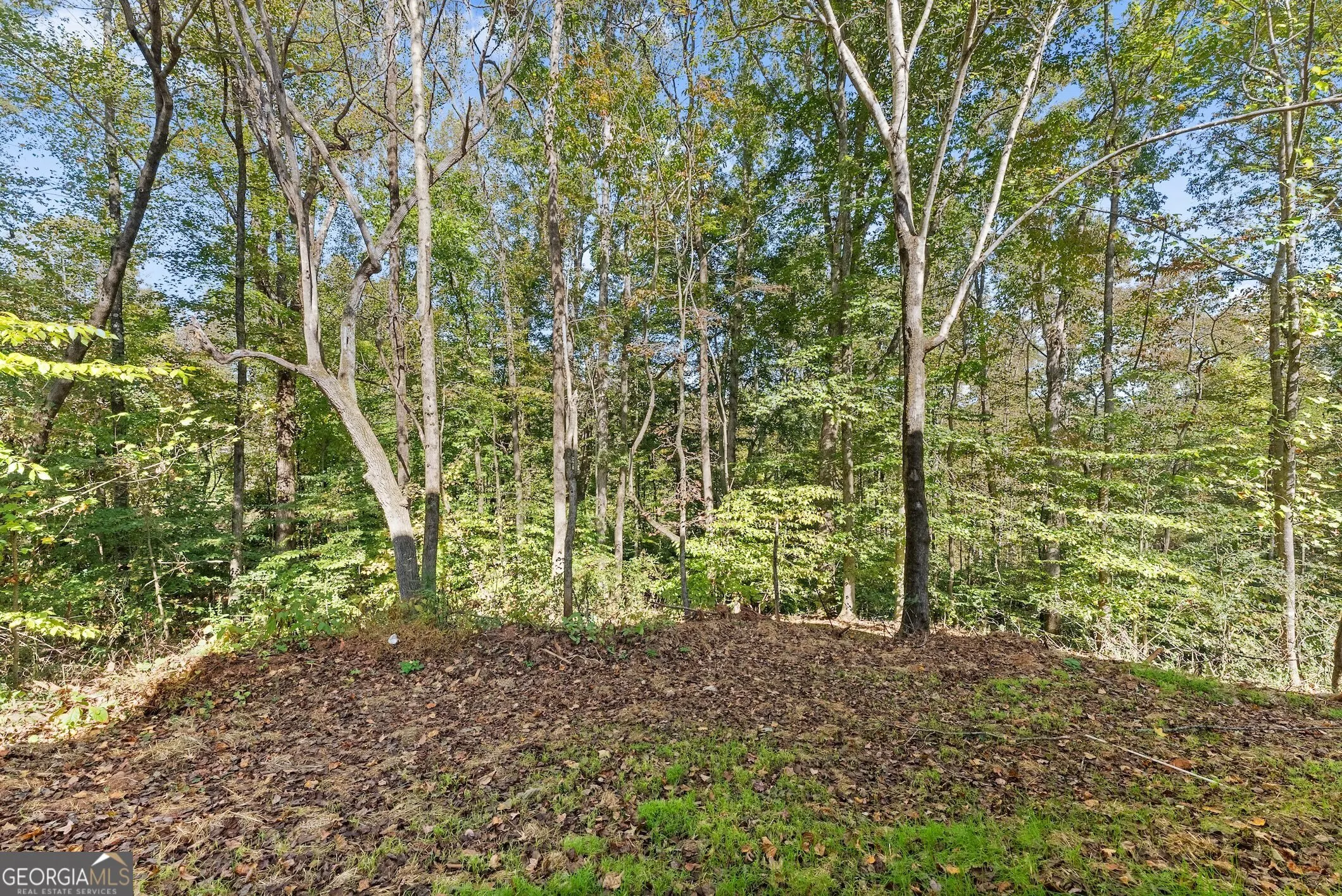489 Magnolia Grove Place