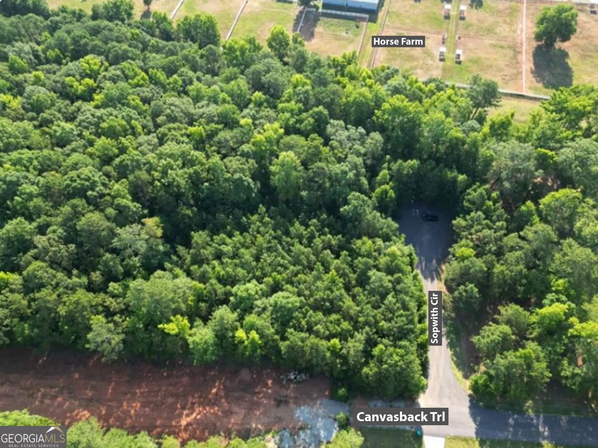 147 369 Canvasback Trail #147